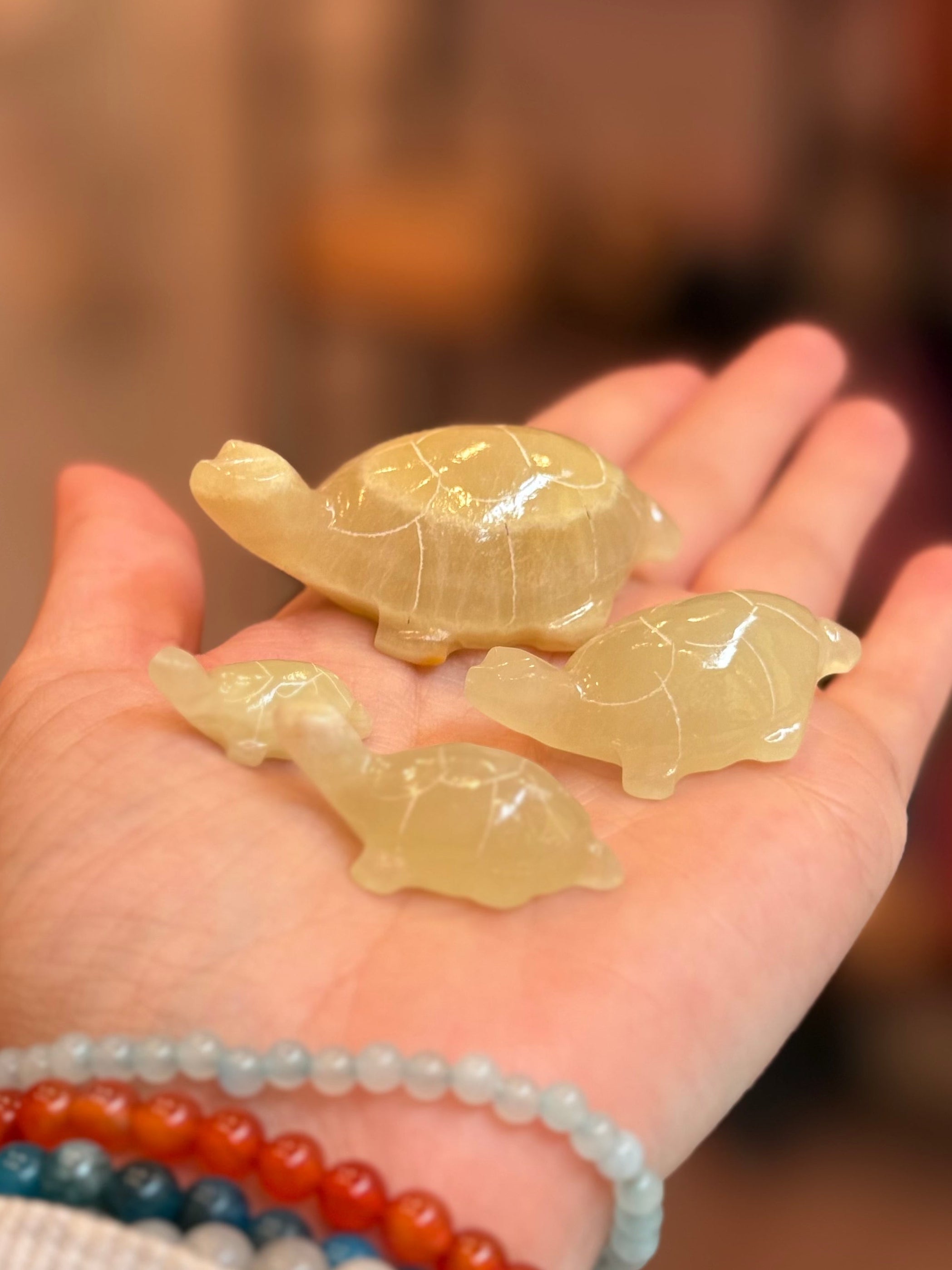 Familia de Tortugas Calcita Multicolor | Armonía y Protección