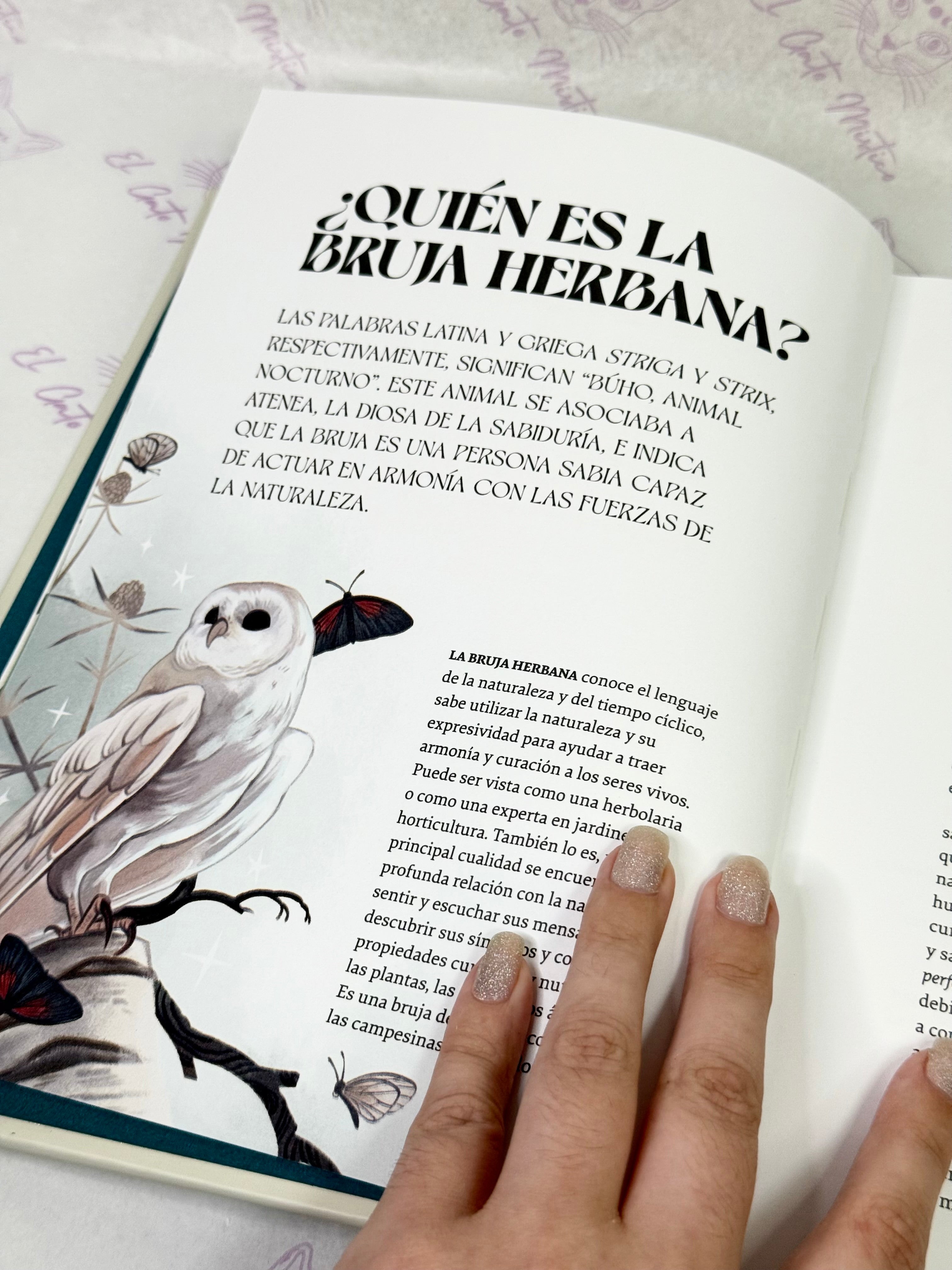 Herbana | La naturaleza Mística del Bosque