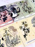 Herbana | Oráculo de la Bruja | 50 cartas + guía