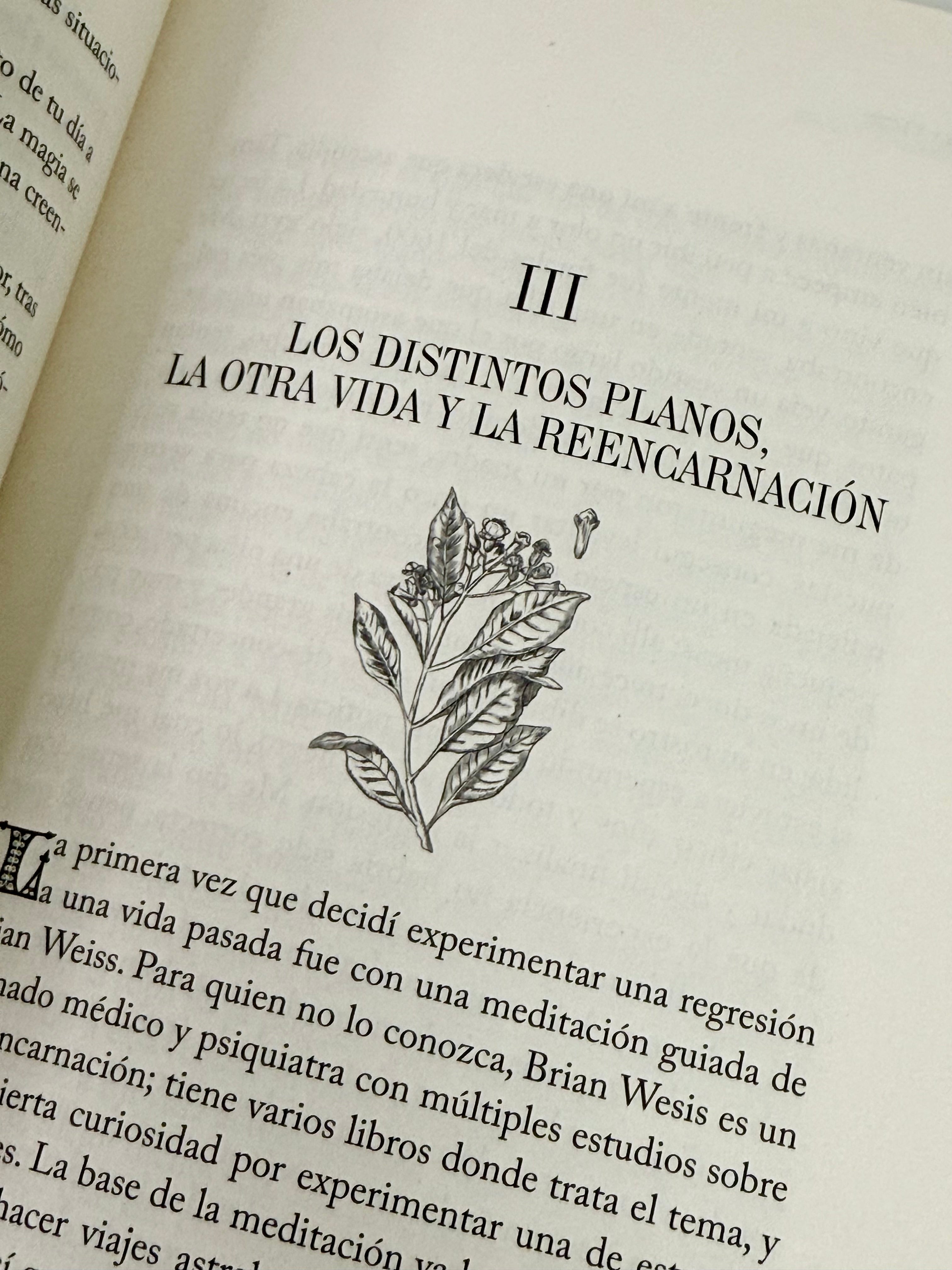 Magia para Empoderarte | Hechizos y secretos para desatar todo tu potencial | Laura Medina Viejo