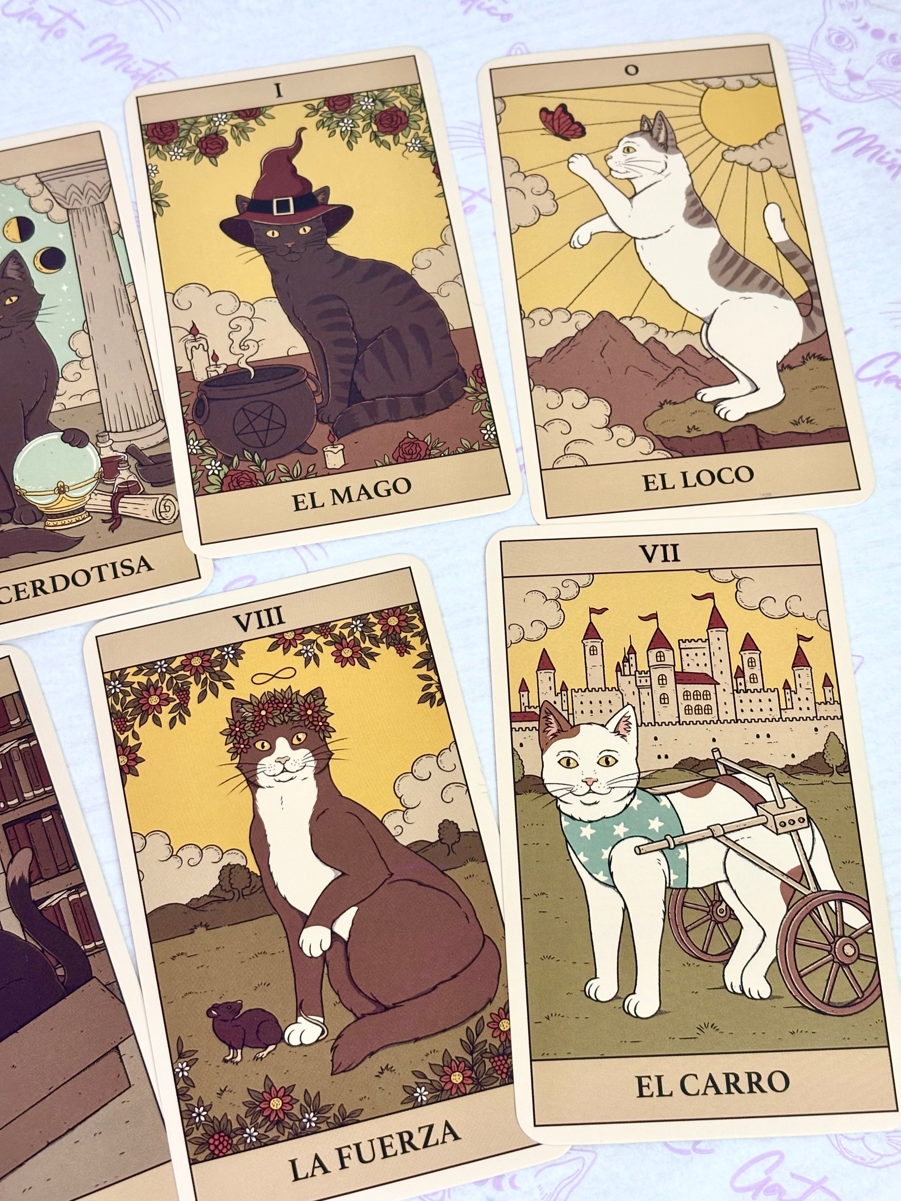 The Tarot of Cats. Book and cards box