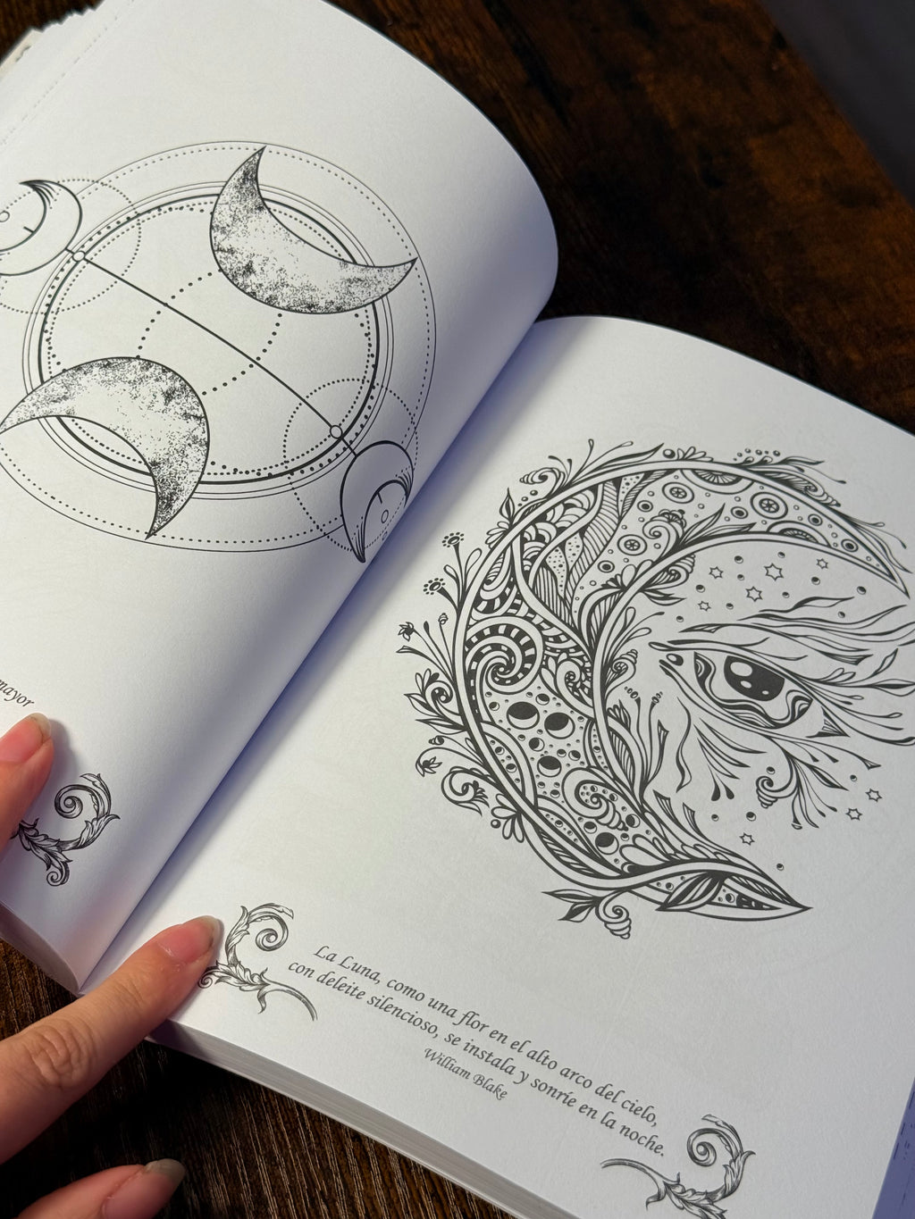 Colorea lo Oculto | Libro de colorear para adultos