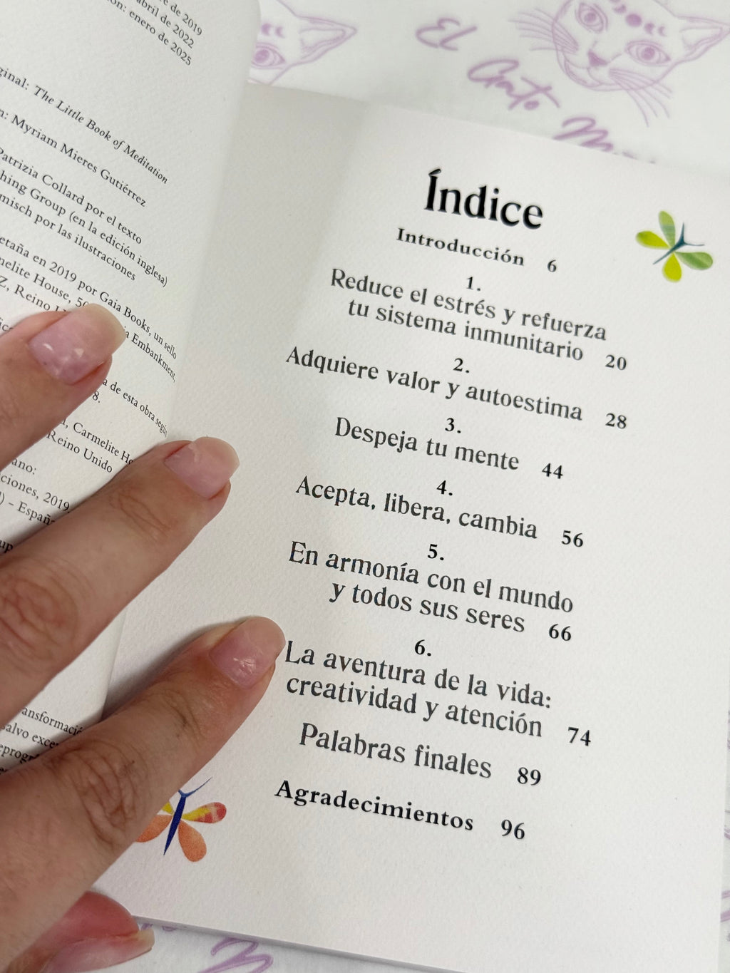 El pequeño Libro de la Meditación | 10 minutos al día para estar relajado, despierto y creativo