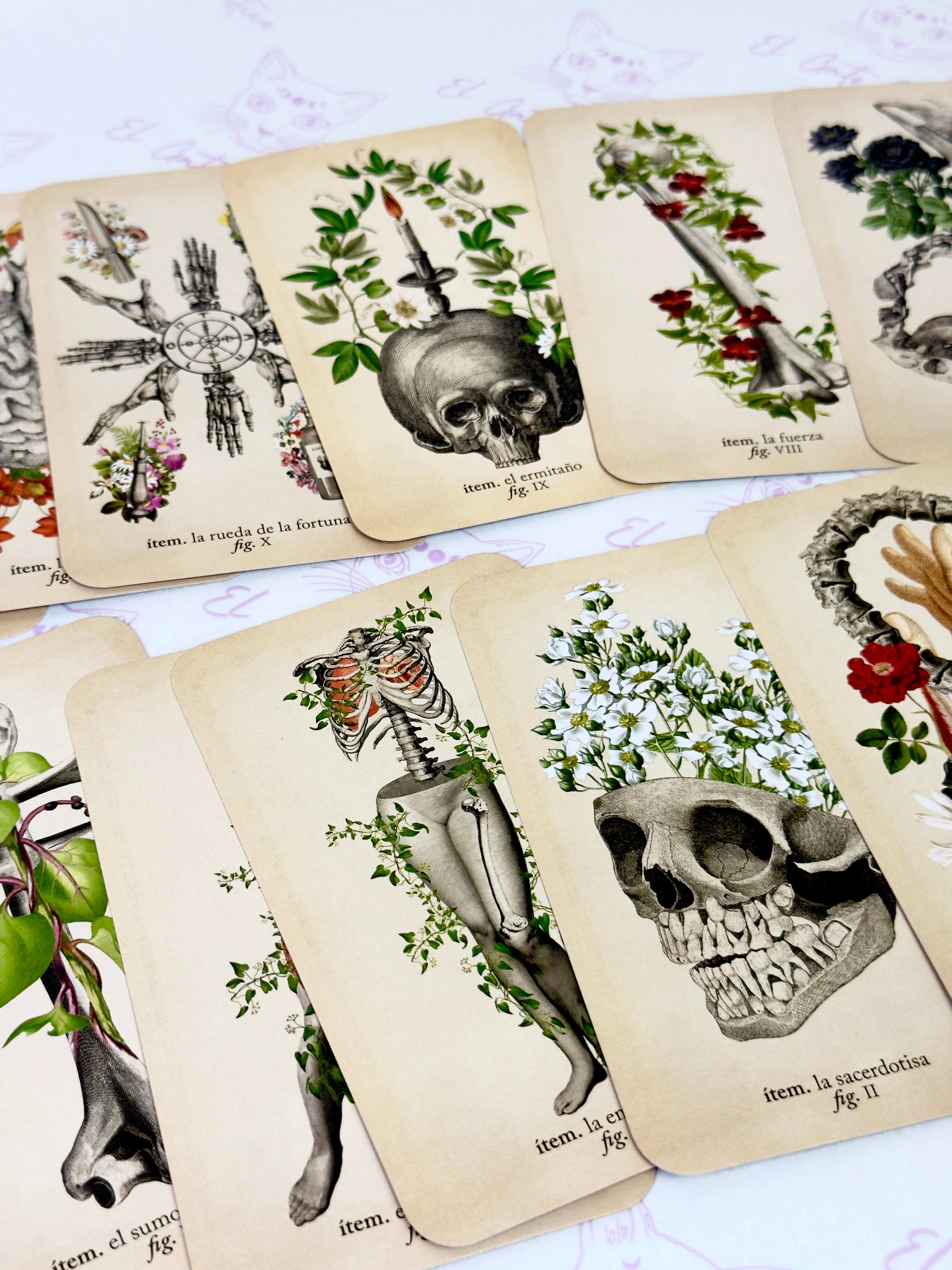 El Tarot de Anatomía y Botánica Antiguas | Baraja y Manual para el Lector Moderno