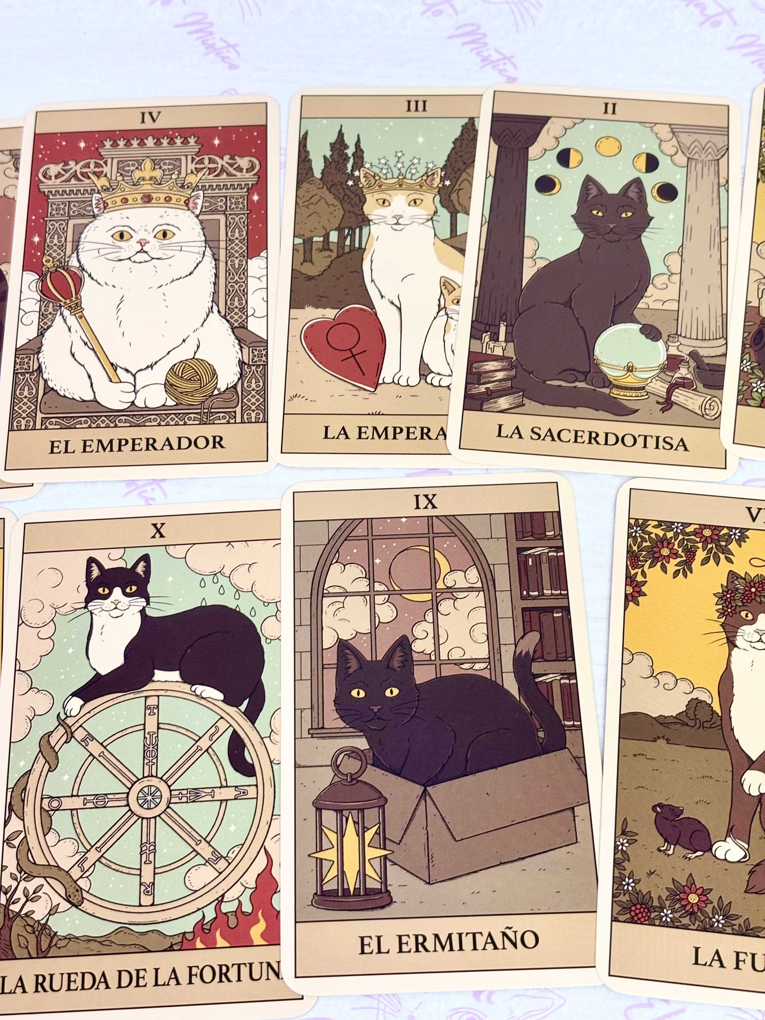 The Tarot of Cats. Book and cards box
