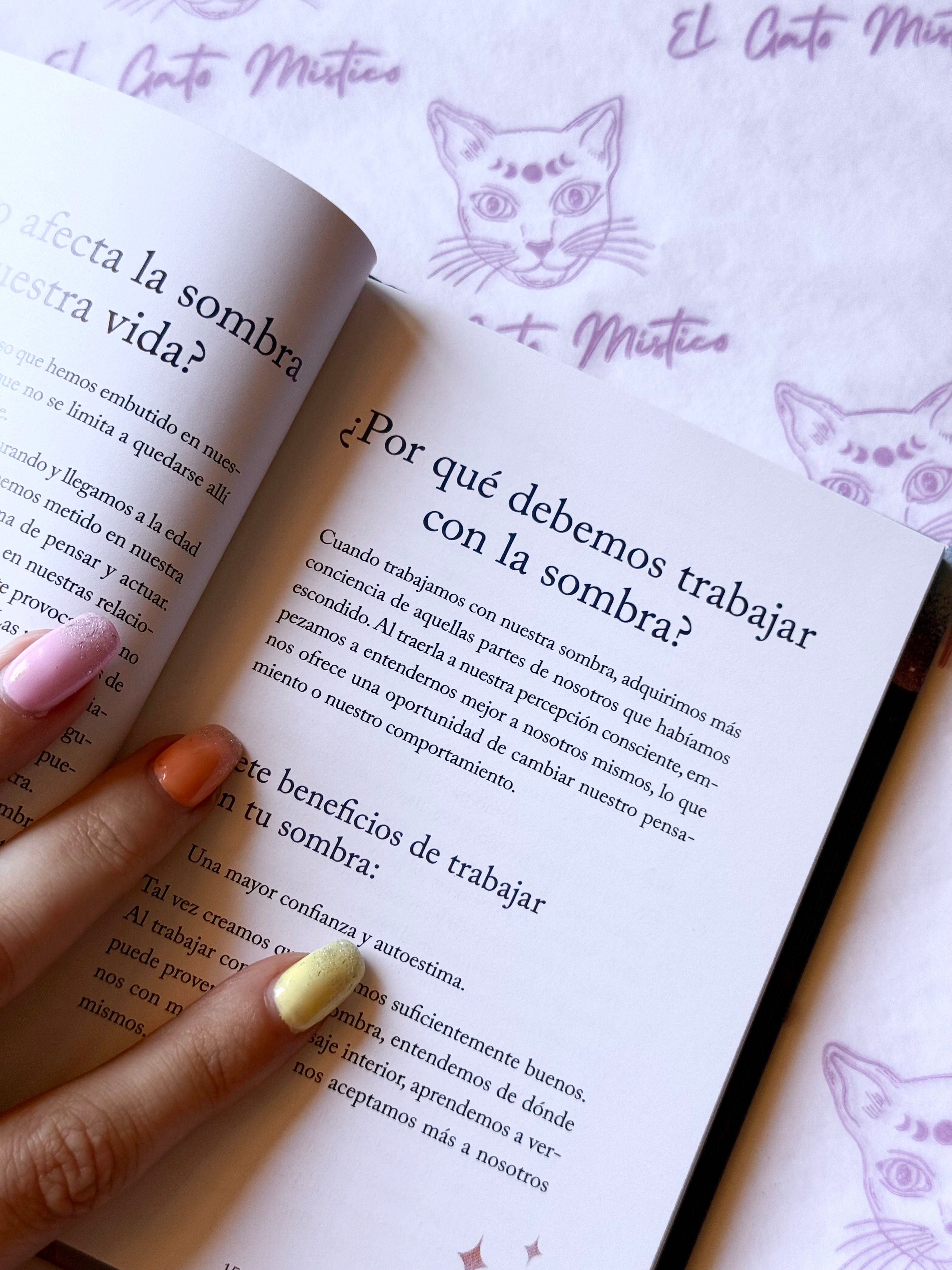 El pequeño libro del Trabajo de sombras