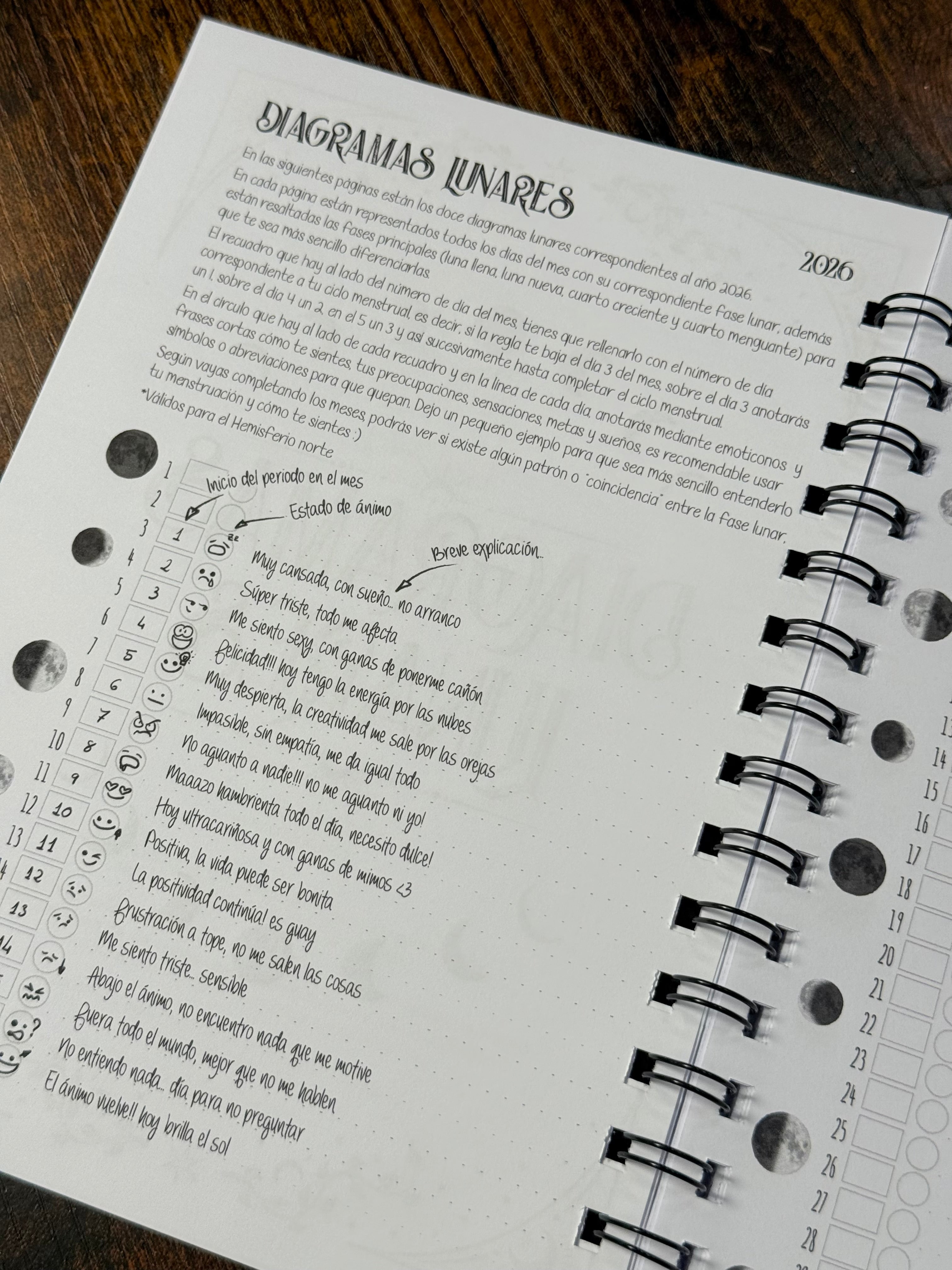 Agendas 2026 Stay Wild Moonchild | Año completo