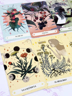 Herbana | Oráculo de la Bruja | 50 cartas + guía