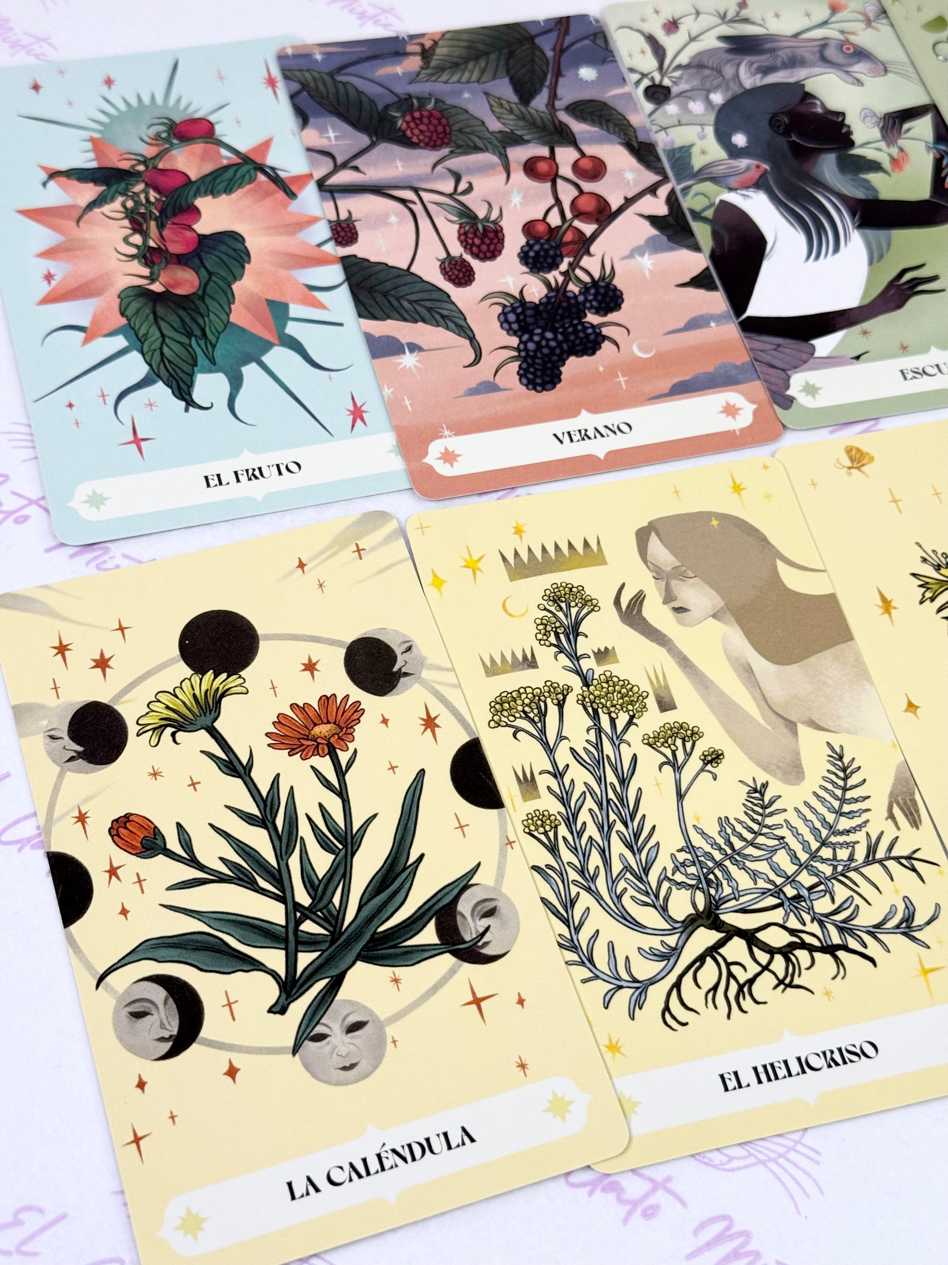 Herbana | Oráculo de la Bruja | 50 cartas + guía
