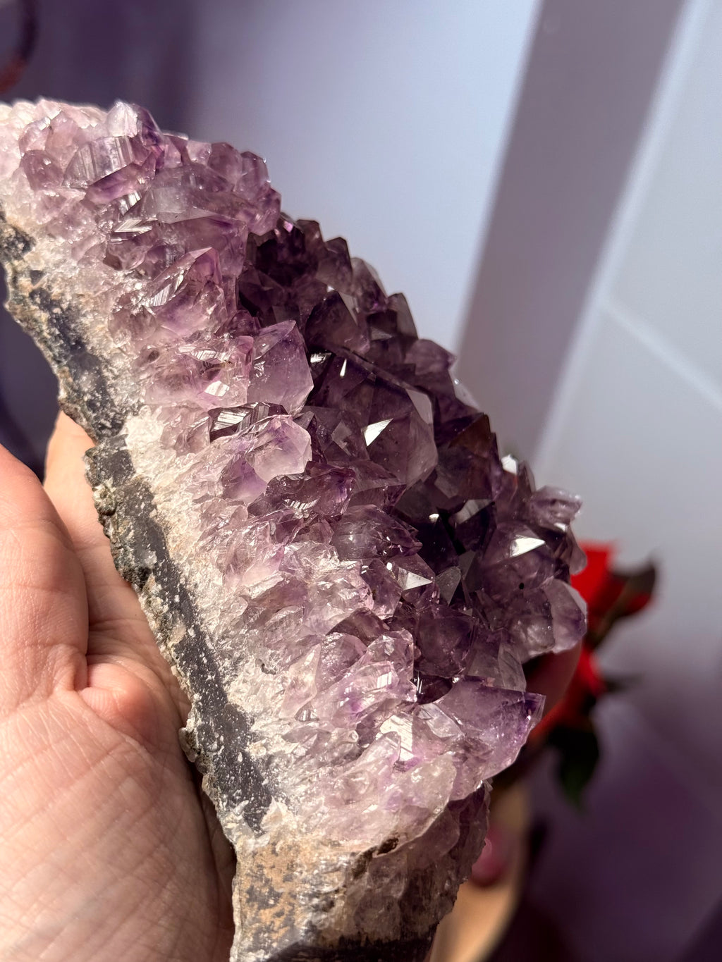 Drusa de Amatista 750g | Calidad Extra | Transmutación y Calma