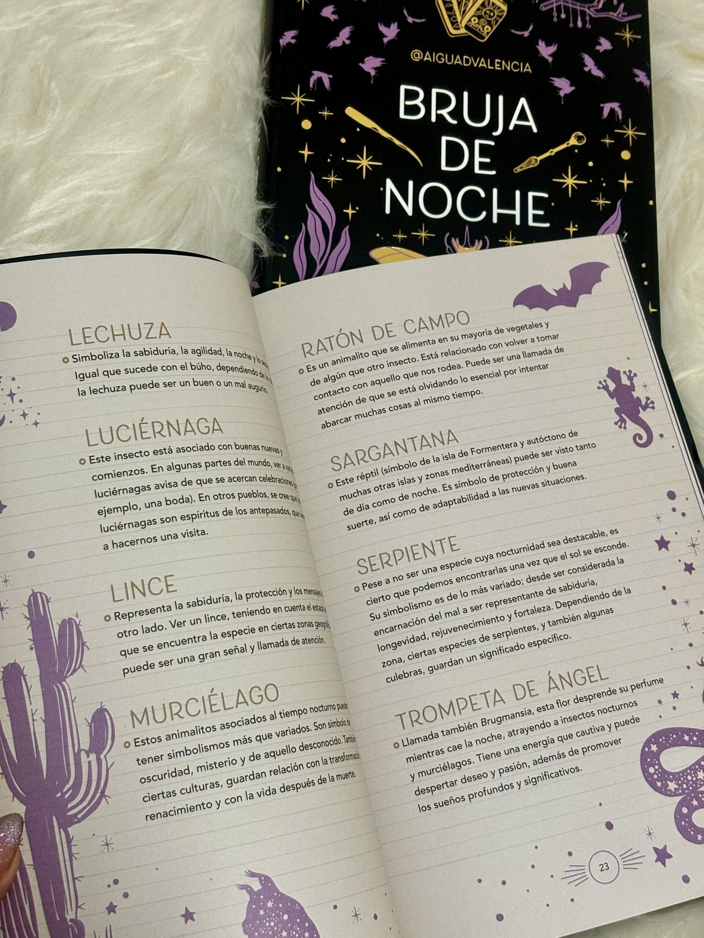 Libro Bruja de Noche