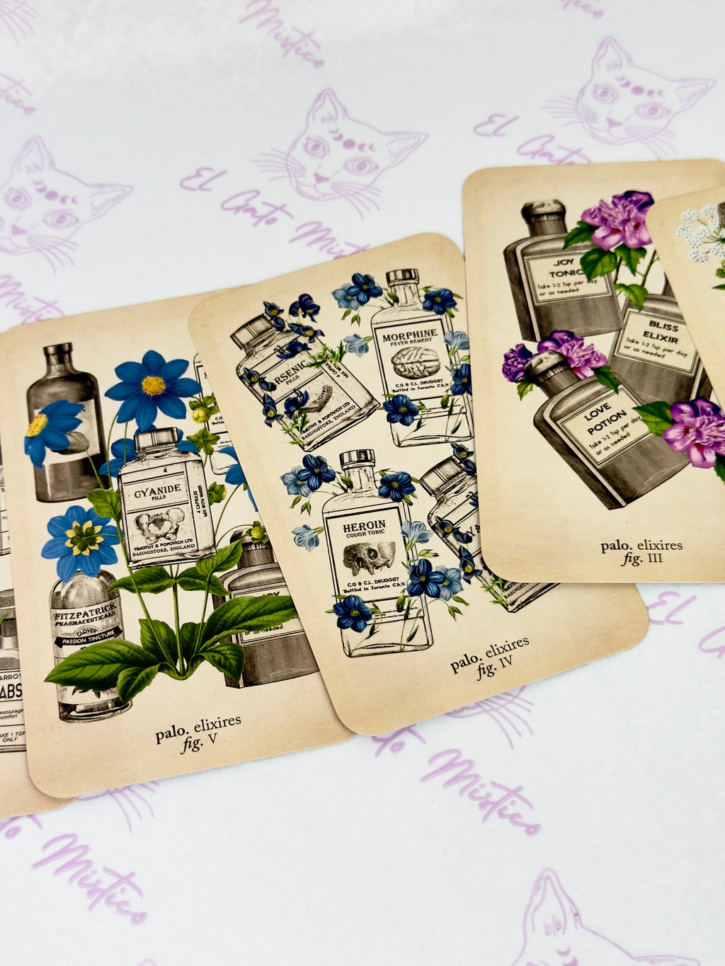 El Tarot de Anatomía y Botánica Antiguas | Baraja y Manual para el Lector Moderno