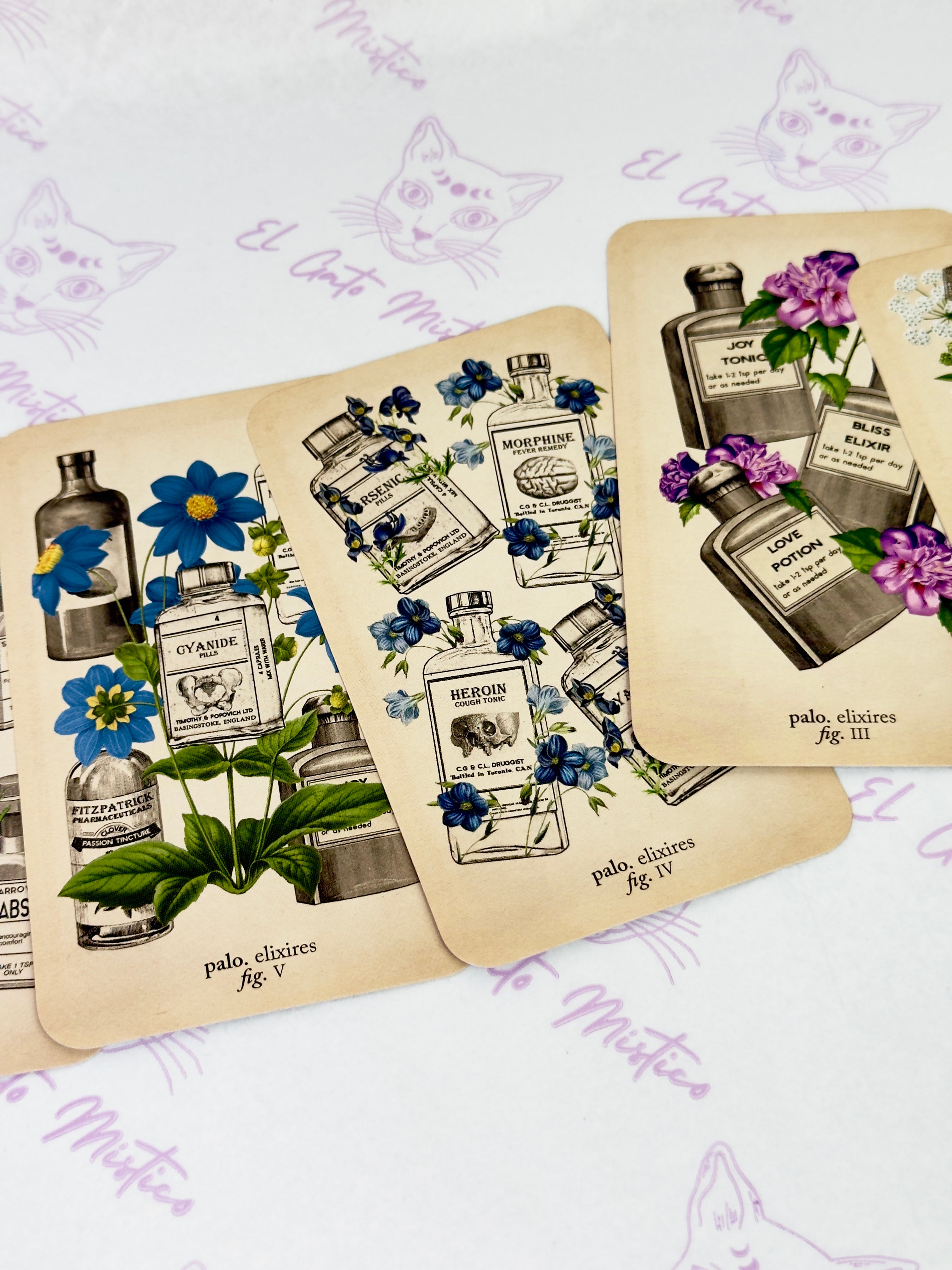 El Tarot de Anatomía y Botánica Antiguas | Baraja y Manual para el Lector Moderno