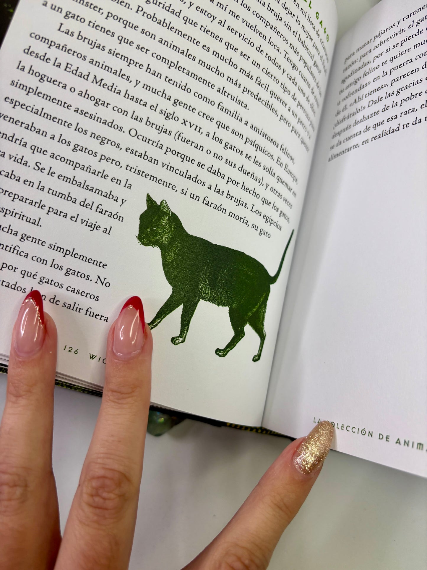 Wiccapedia Libro - Una guía para Brujas modernas