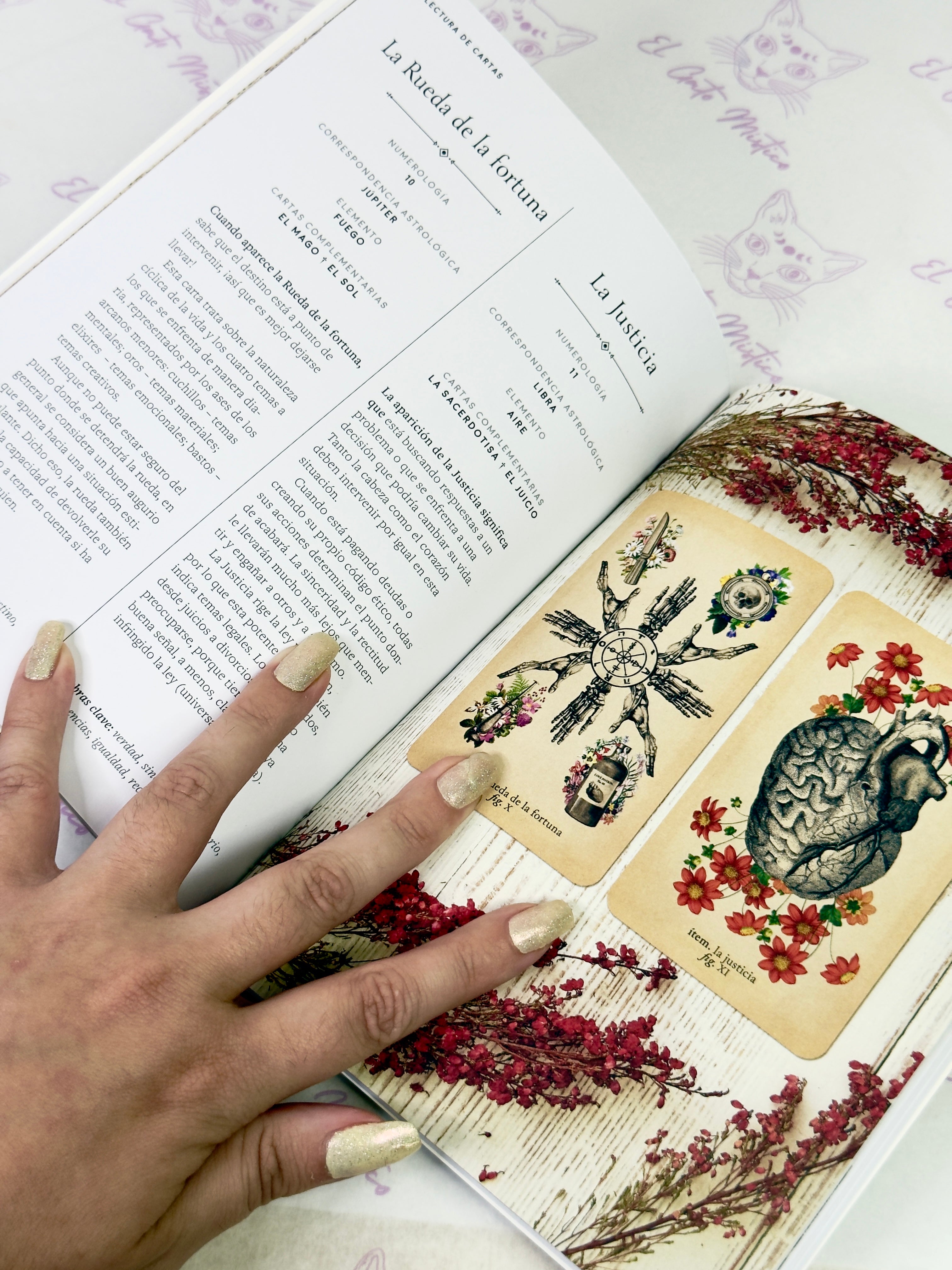 El Tarot de Anatomía y Botánica Antiguas | Baraja y Manual para el Lector Moderno