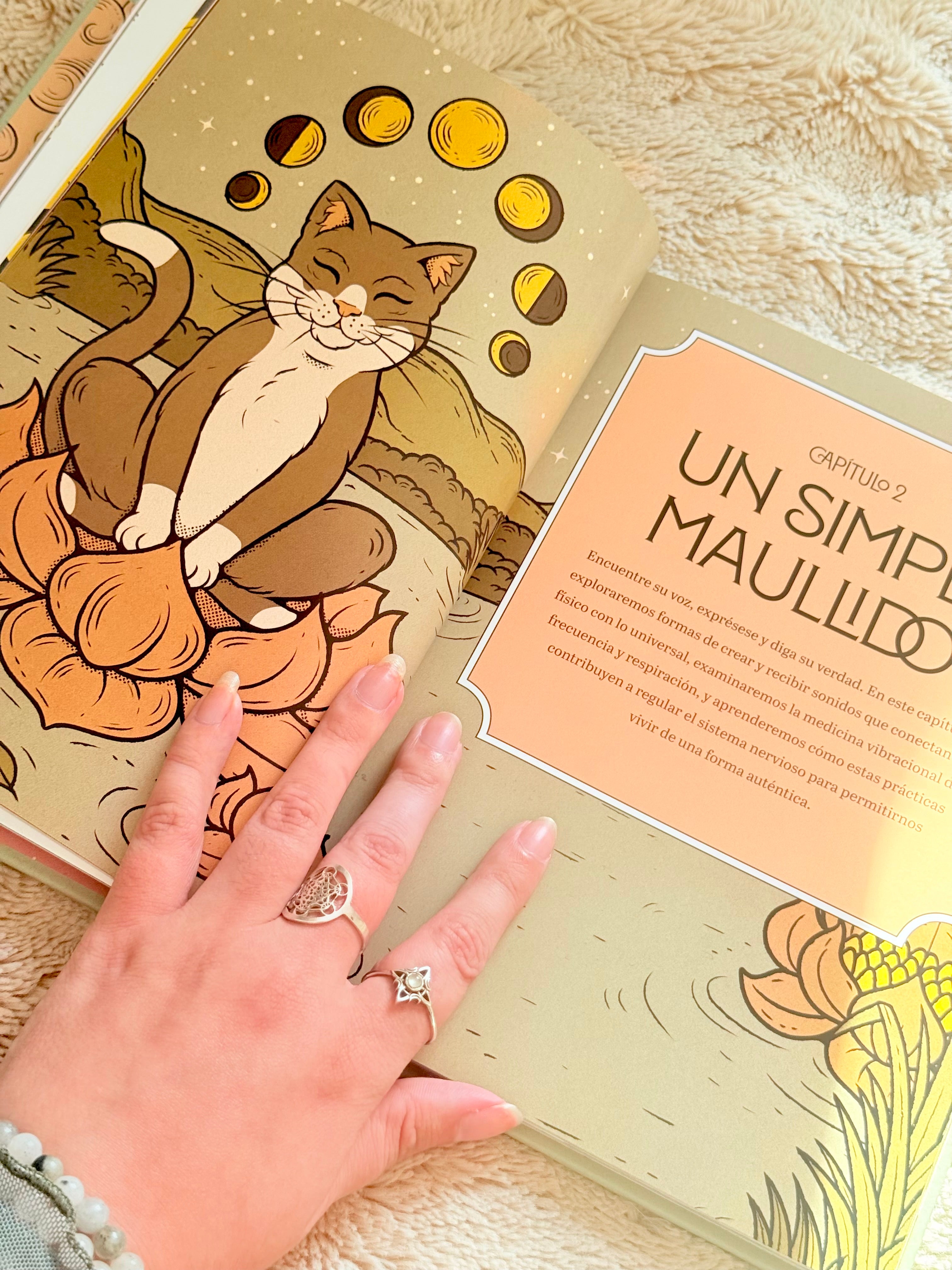 Gatos y Meditación | Guía de Ejercicios inspirados en los Felinos