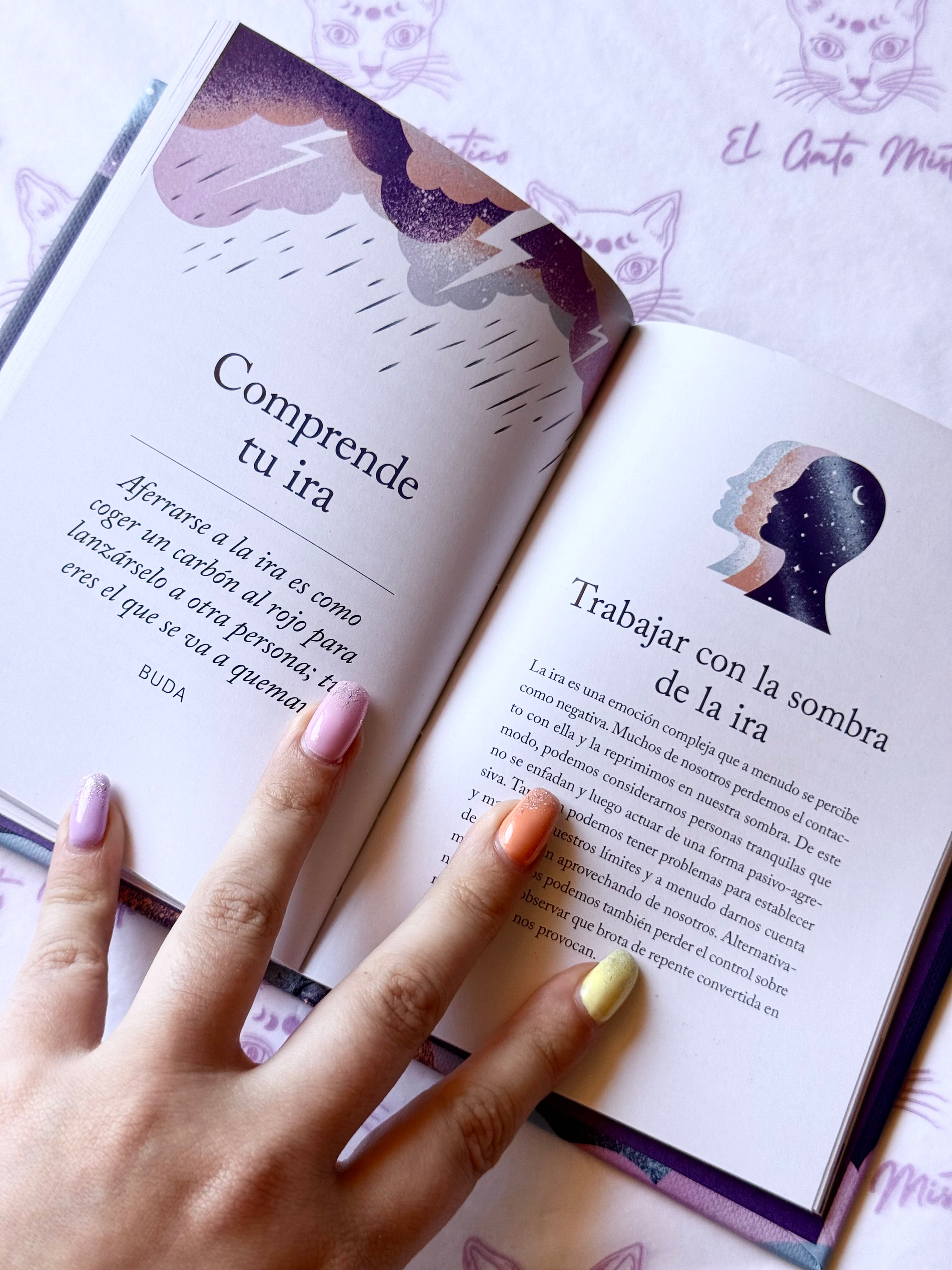 El pequeño libro del Trabajo de sombras