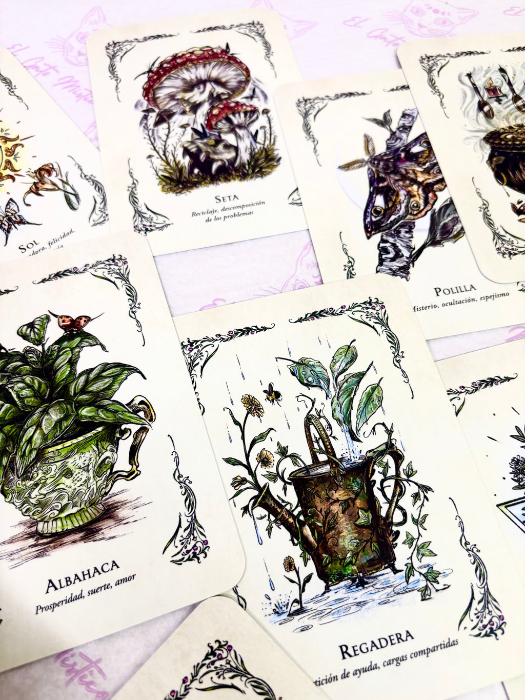 La Bruja Verde | El Oráculo