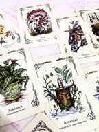 La Bruja Verde | El Oráculo