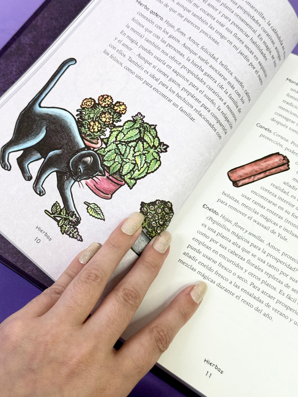 El Libro de las Sombras de la Bruja Ecléctica | Un Manual Mágico para la Práctica Diaria