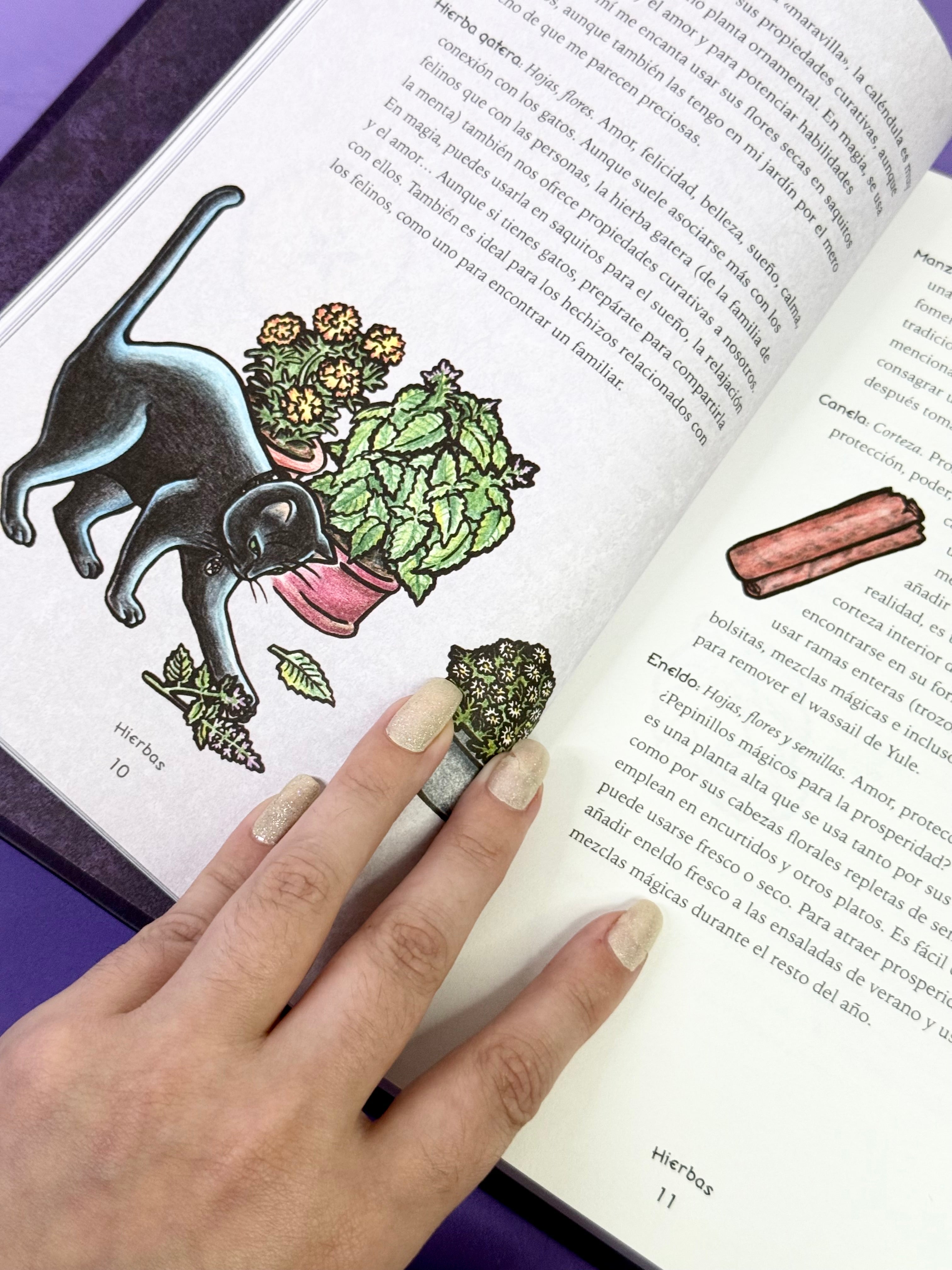 El Libro de las Sombras de la Bruja Ecléctica | Un Manual Mágico para la Práctica Diaria