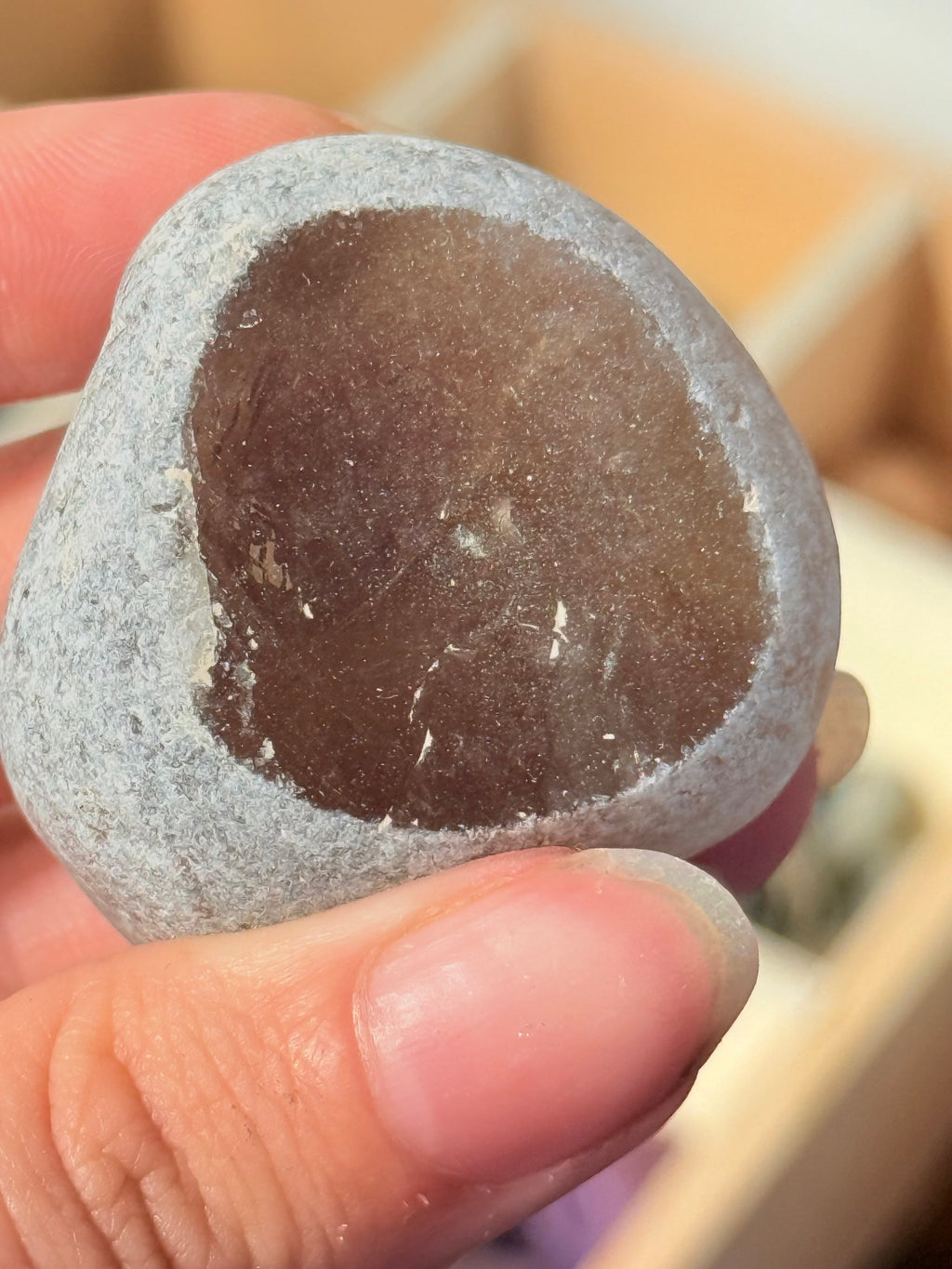 Huevos de Dragón Cuarzo Ahumado Visión | Transformación, Anclaje y Protección