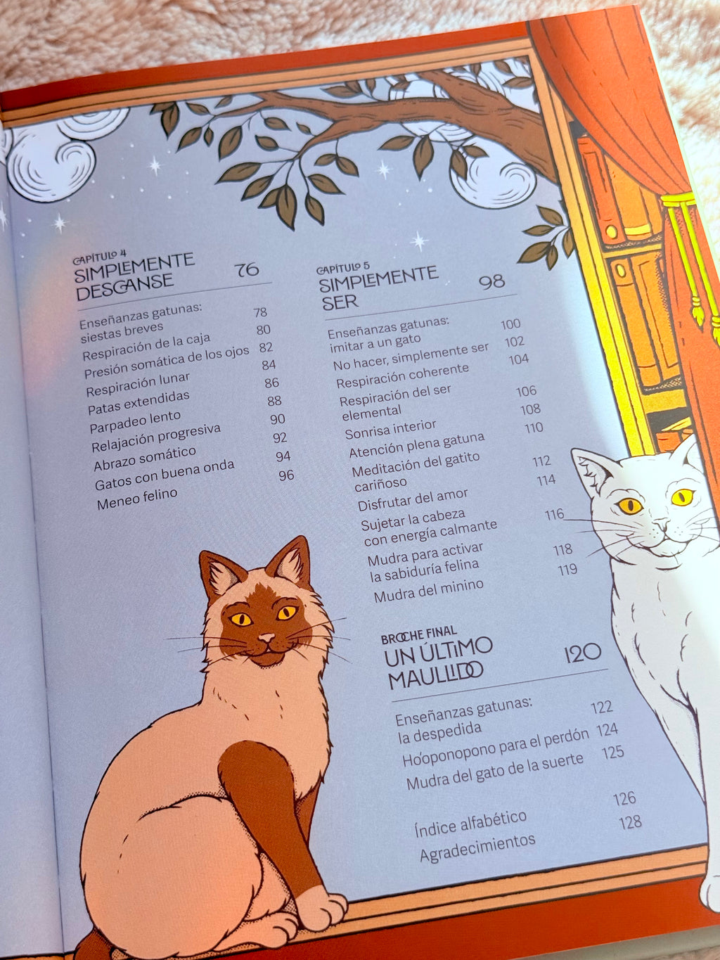 Gatos y Meditación | Guía de Ejercicios inspirados en los Felinos