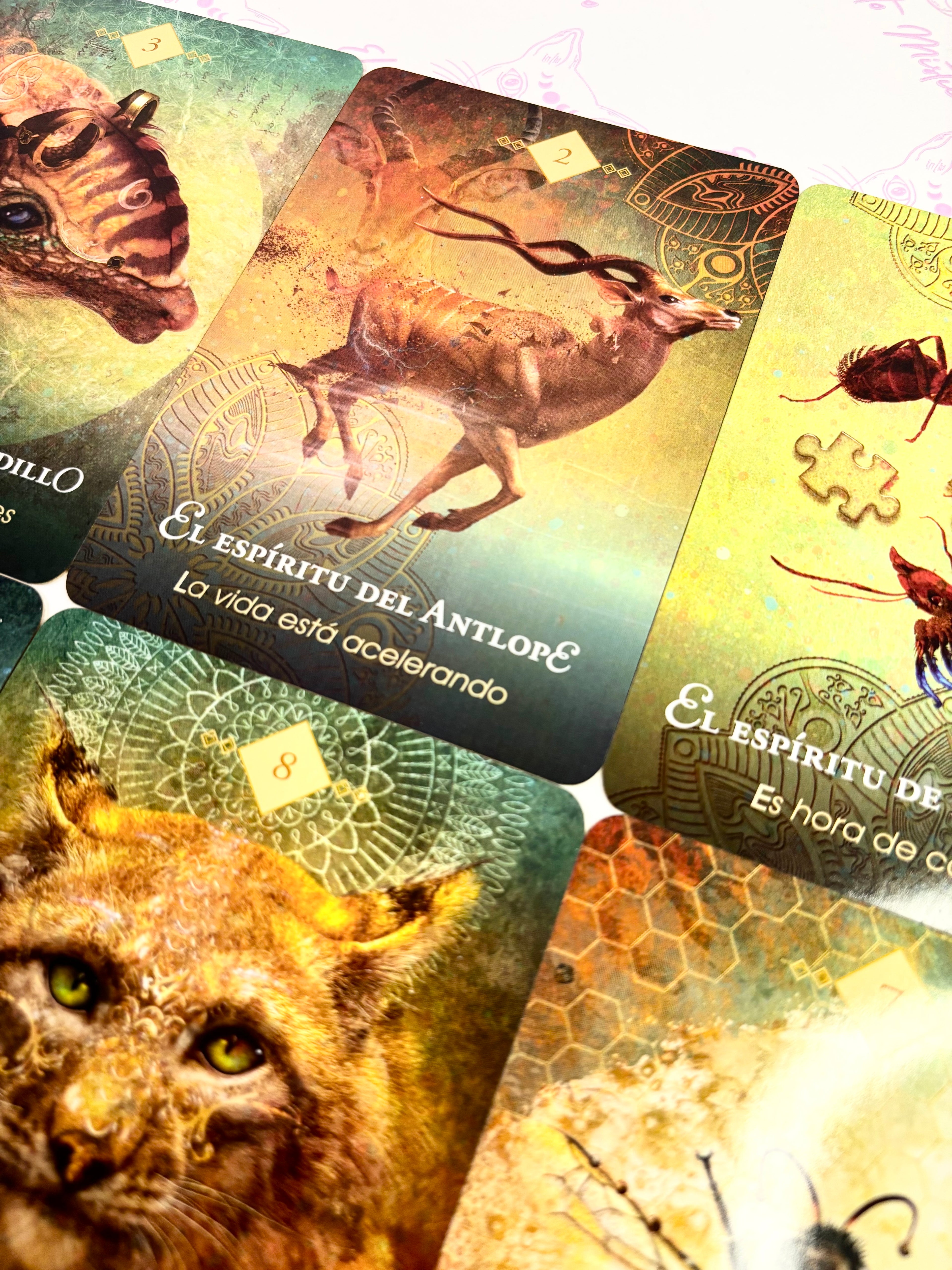 El Oráculo del Espíritu Animal