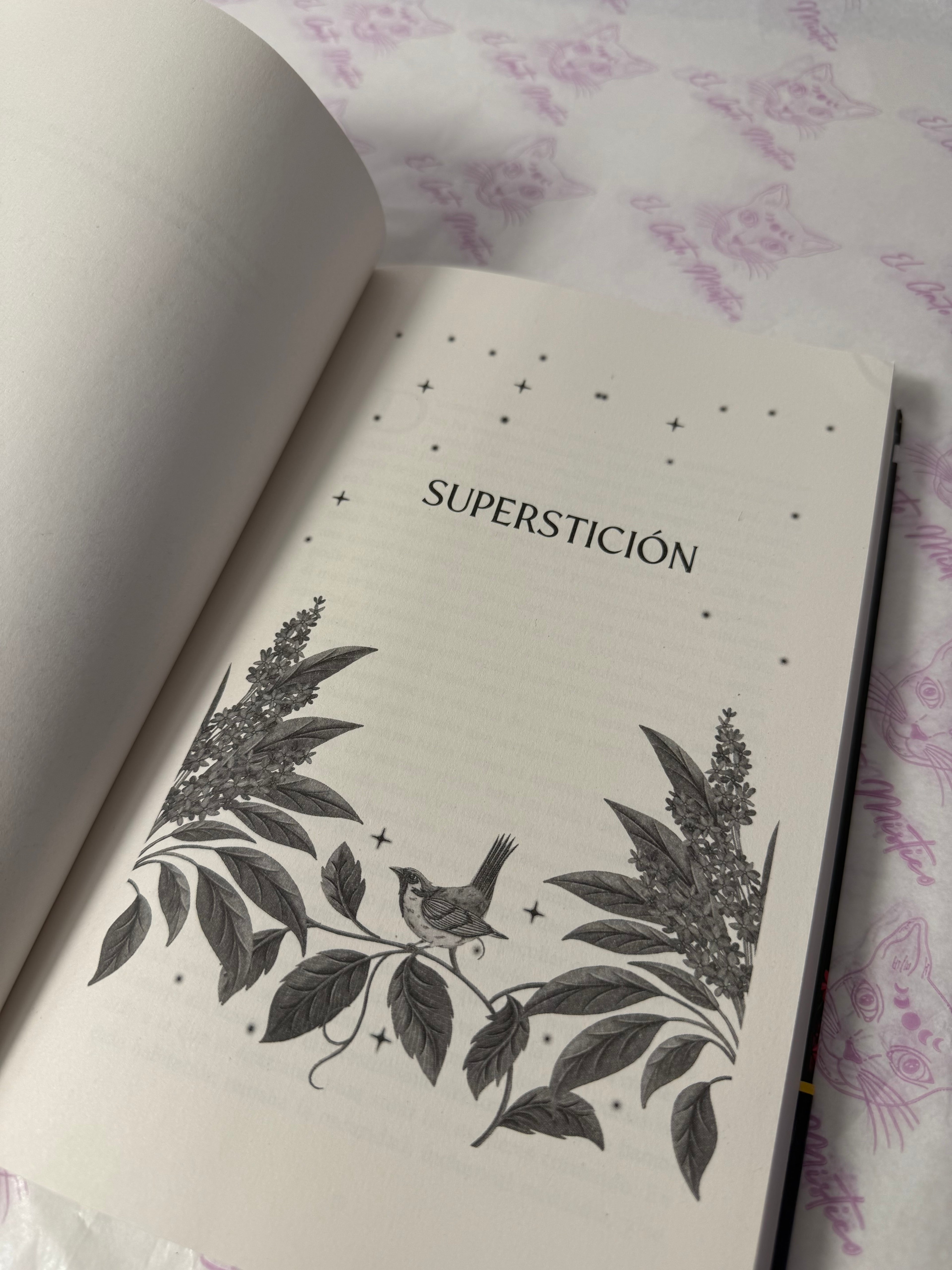 Magia Práctica | El libro de la famosa película “Prácticamente Magia”