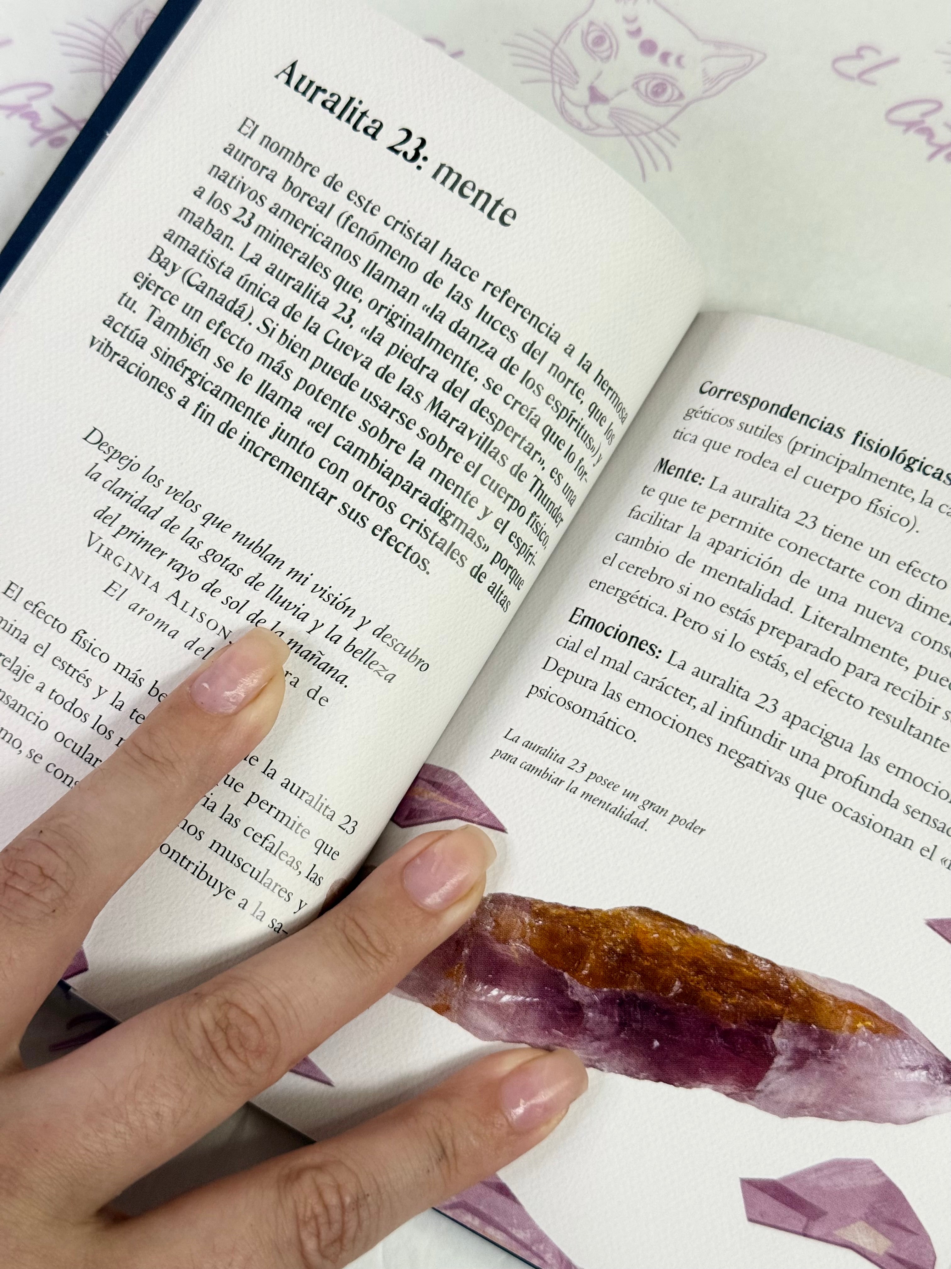 El pequeño Libro de los Cristales | Cómo usarlos para atraer prosperidad, amor, bienestar y armonía espiritual