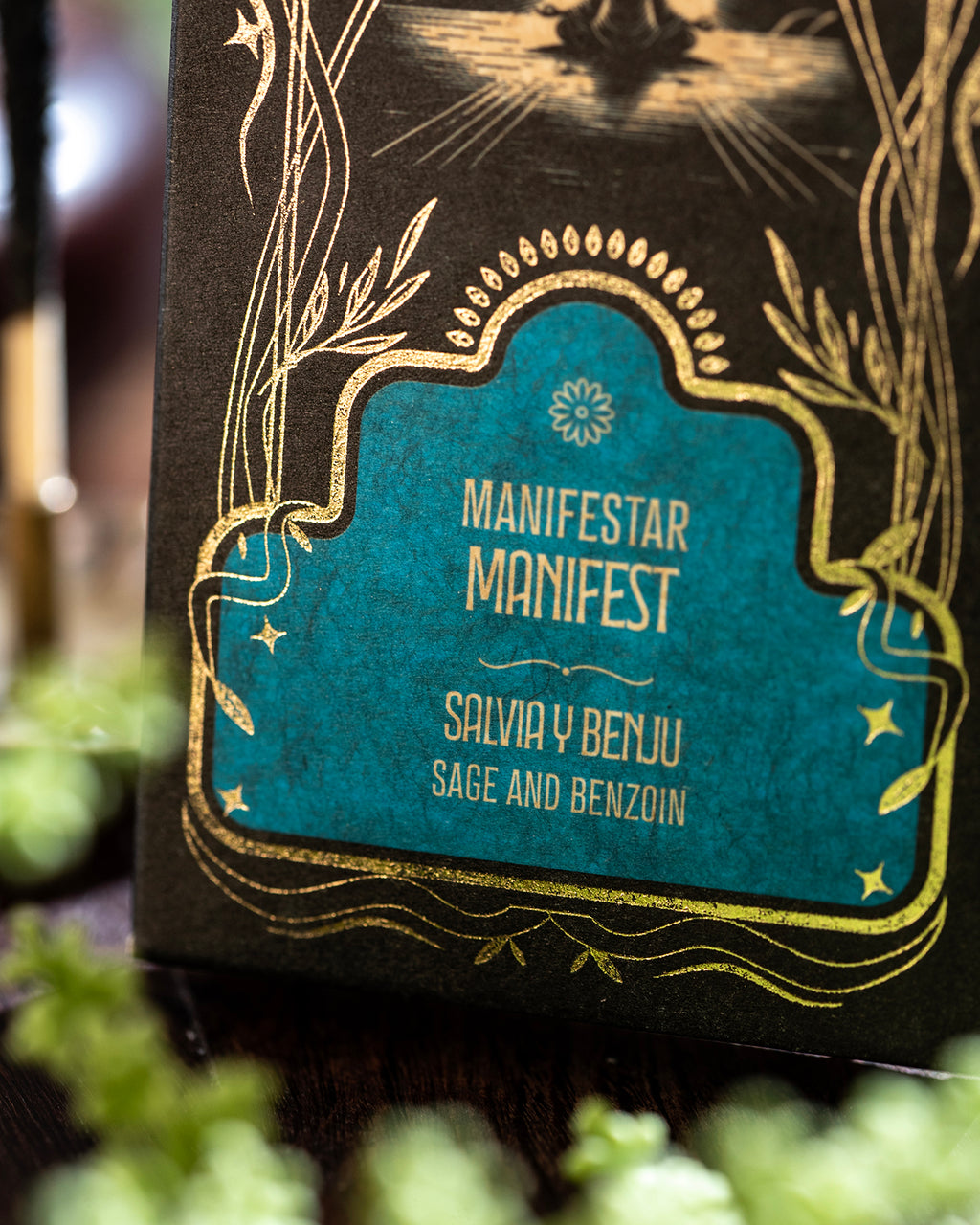 Ritual Manifestar | Sagrada Madre