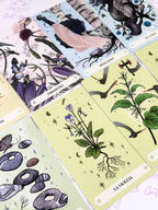 Herbana | Oráculo de la Bruja | 50 cartas + guía