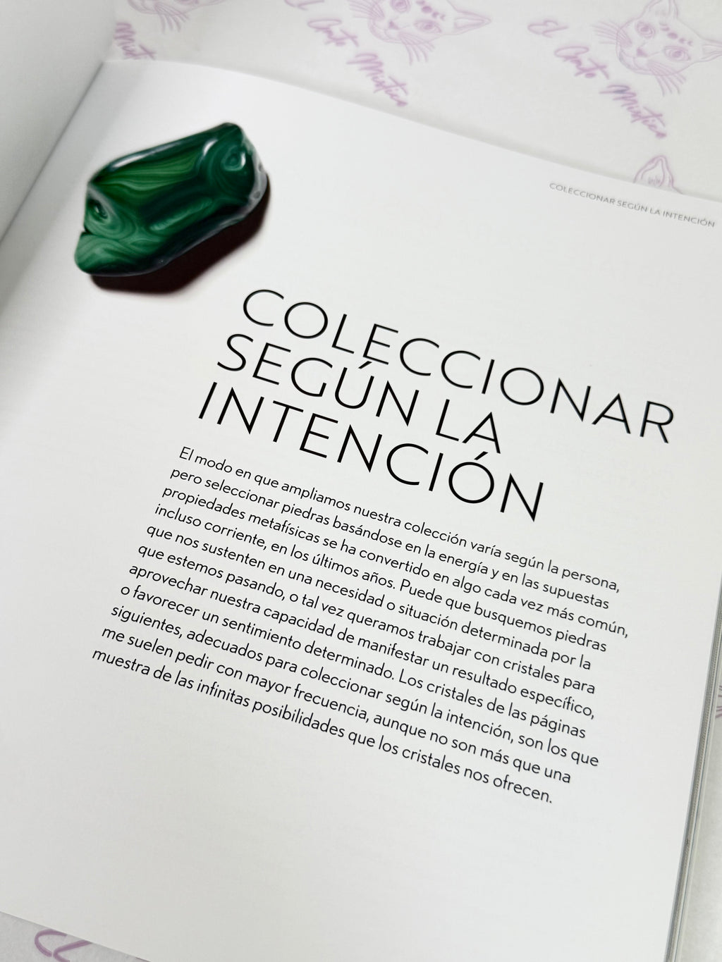 Su Colección de Cristales | Cómo crear una colección de cristales y piedras para toda la vida