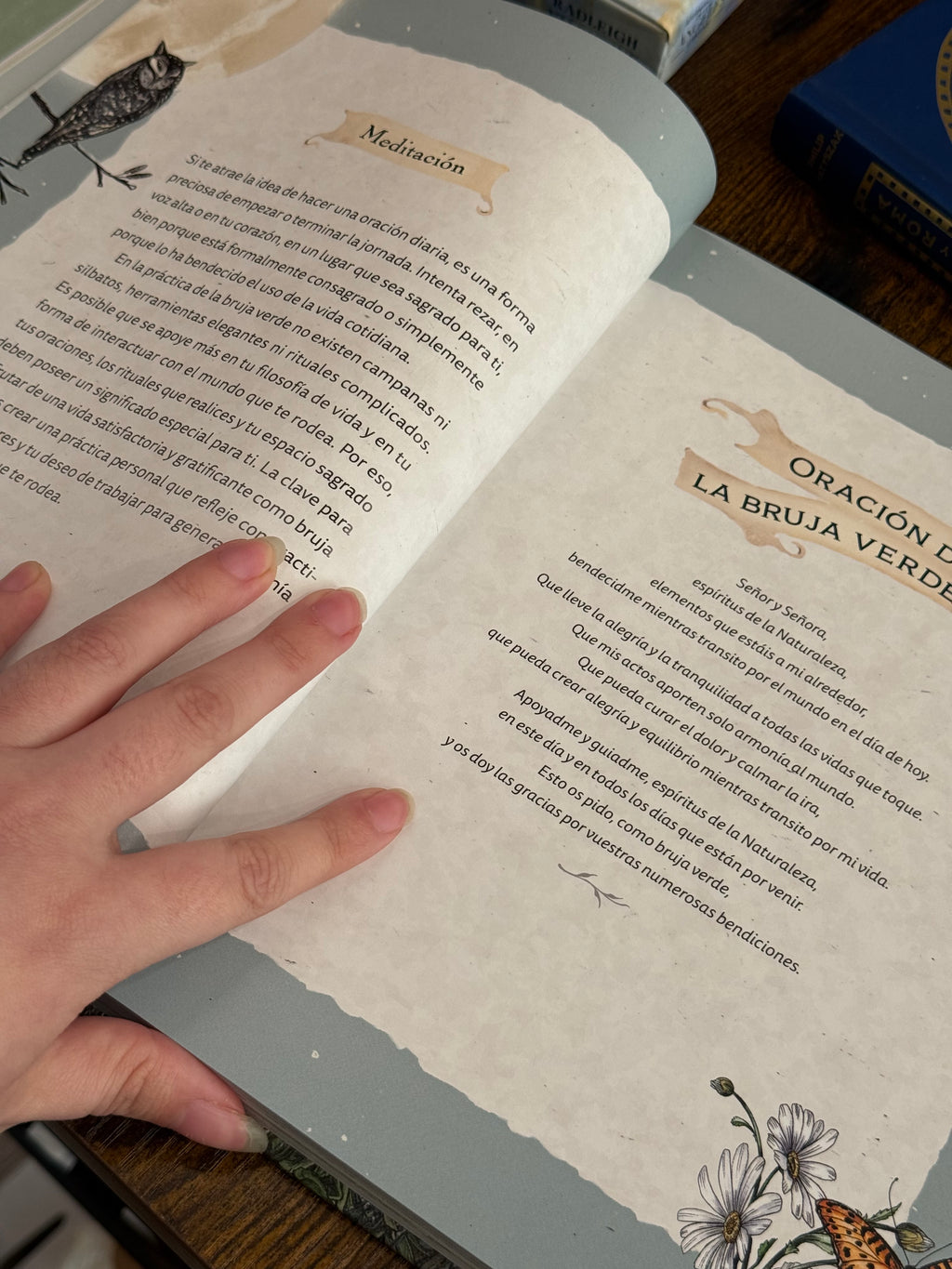 La Bruja Verde | Una mágica inmersión en el encanto de la brujería natural | Libro Ilustrado