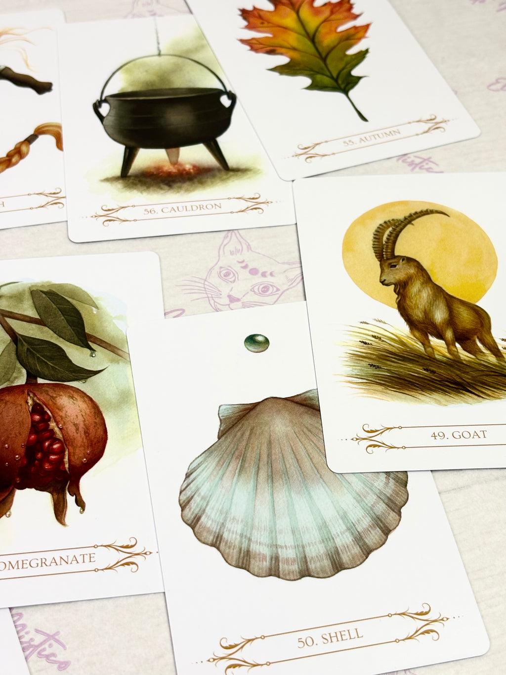 Oráculo A Compendium of Witches | Cartas+libro en 4 idiomas