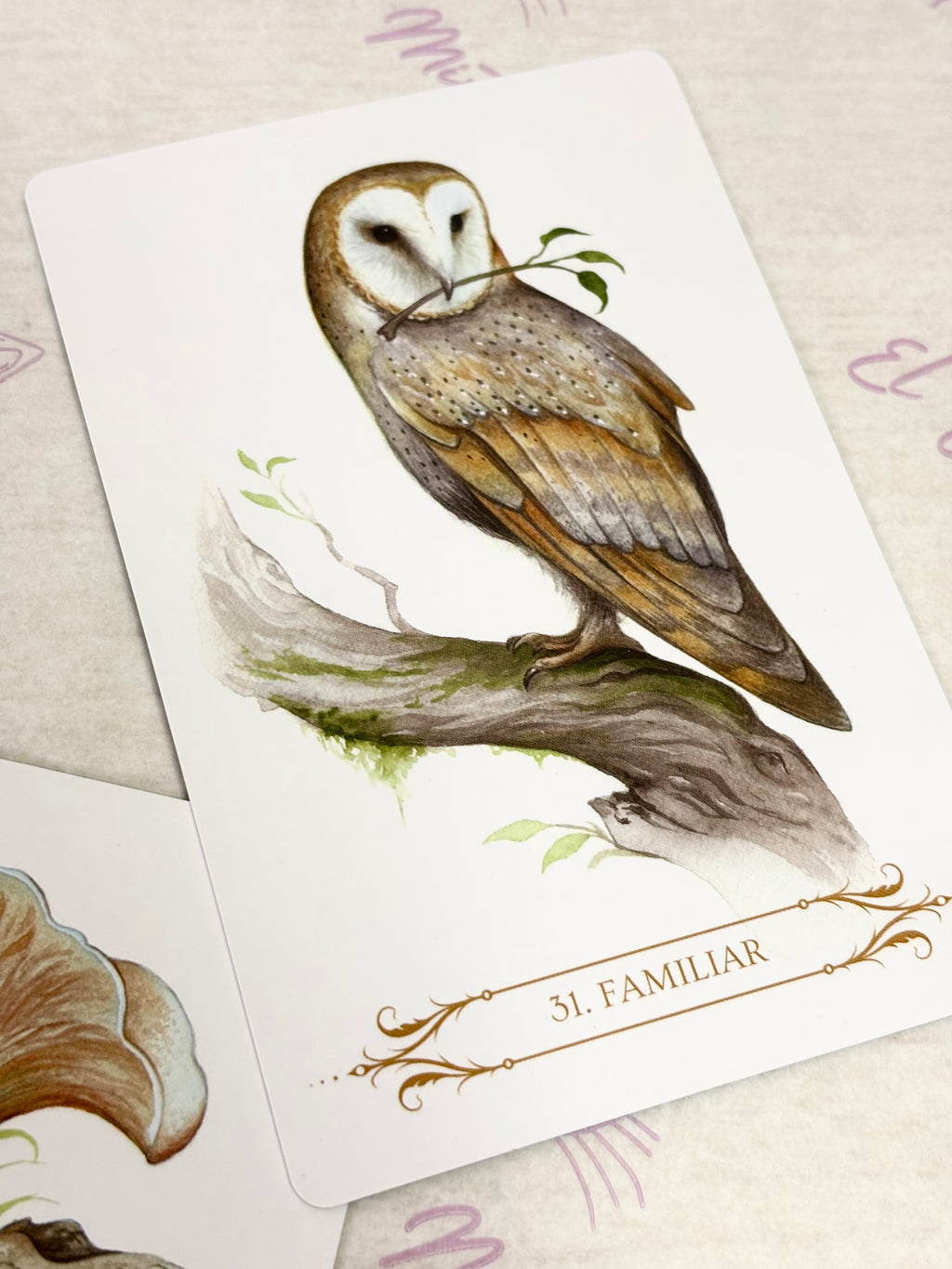 Oráculo A Compendium of Witches | Cartas+libro en 4 idiomas