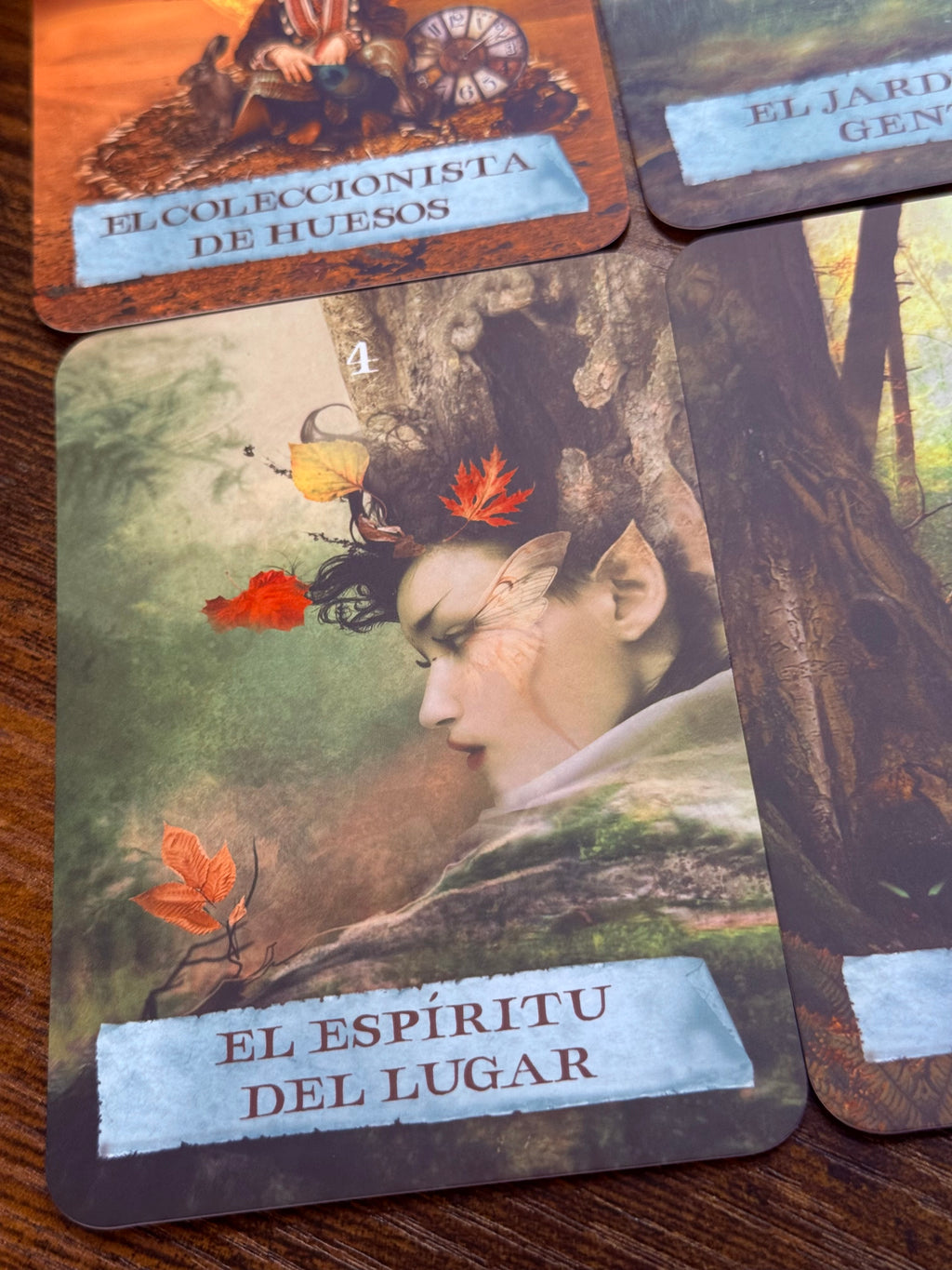 El Mapa Encantado | Oráculo