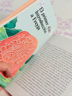 El pequeño Libro de las Runas