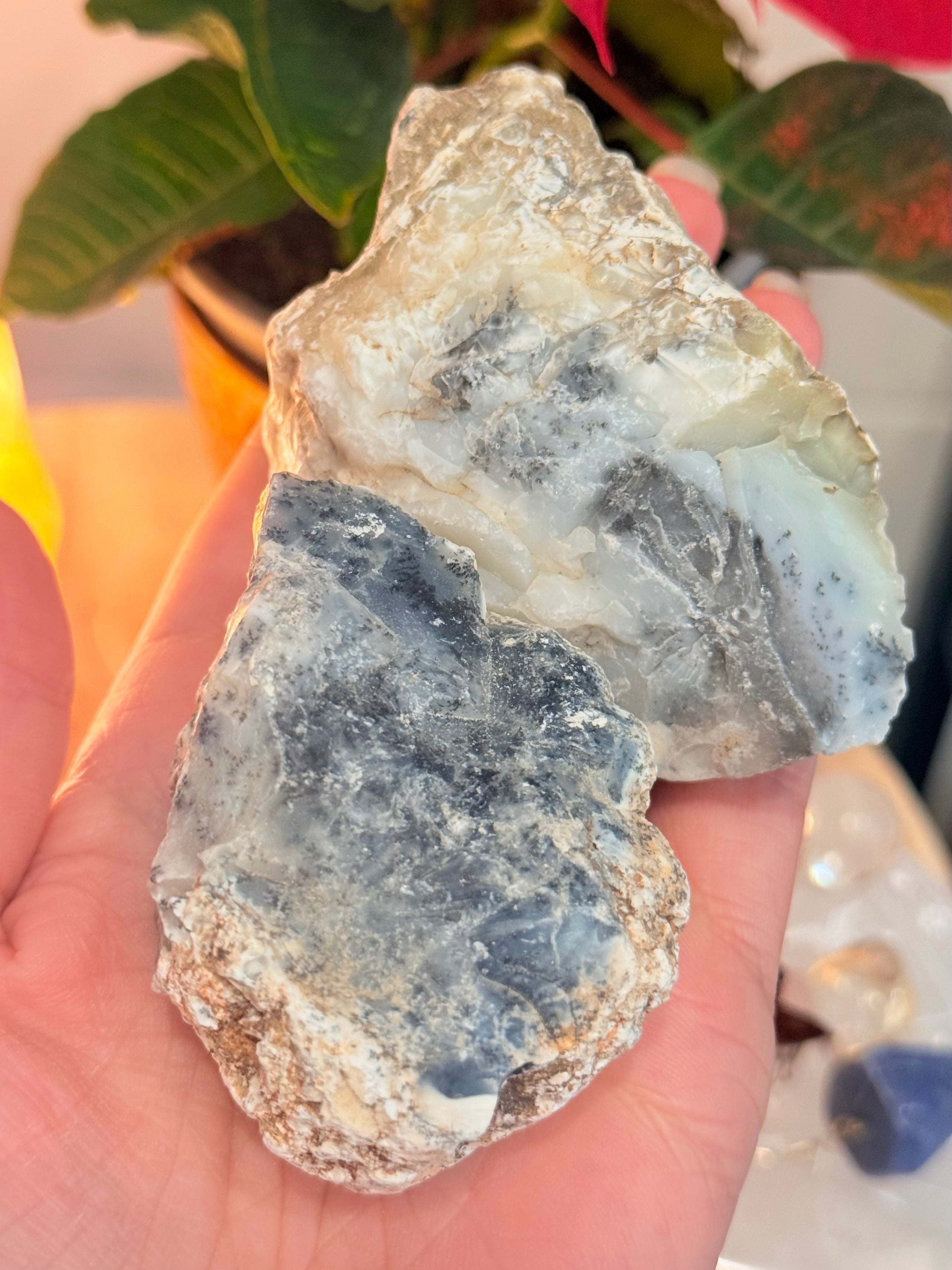 Ópalo Dendrítico en bruto | Armonía, Crecimiento y Transformación