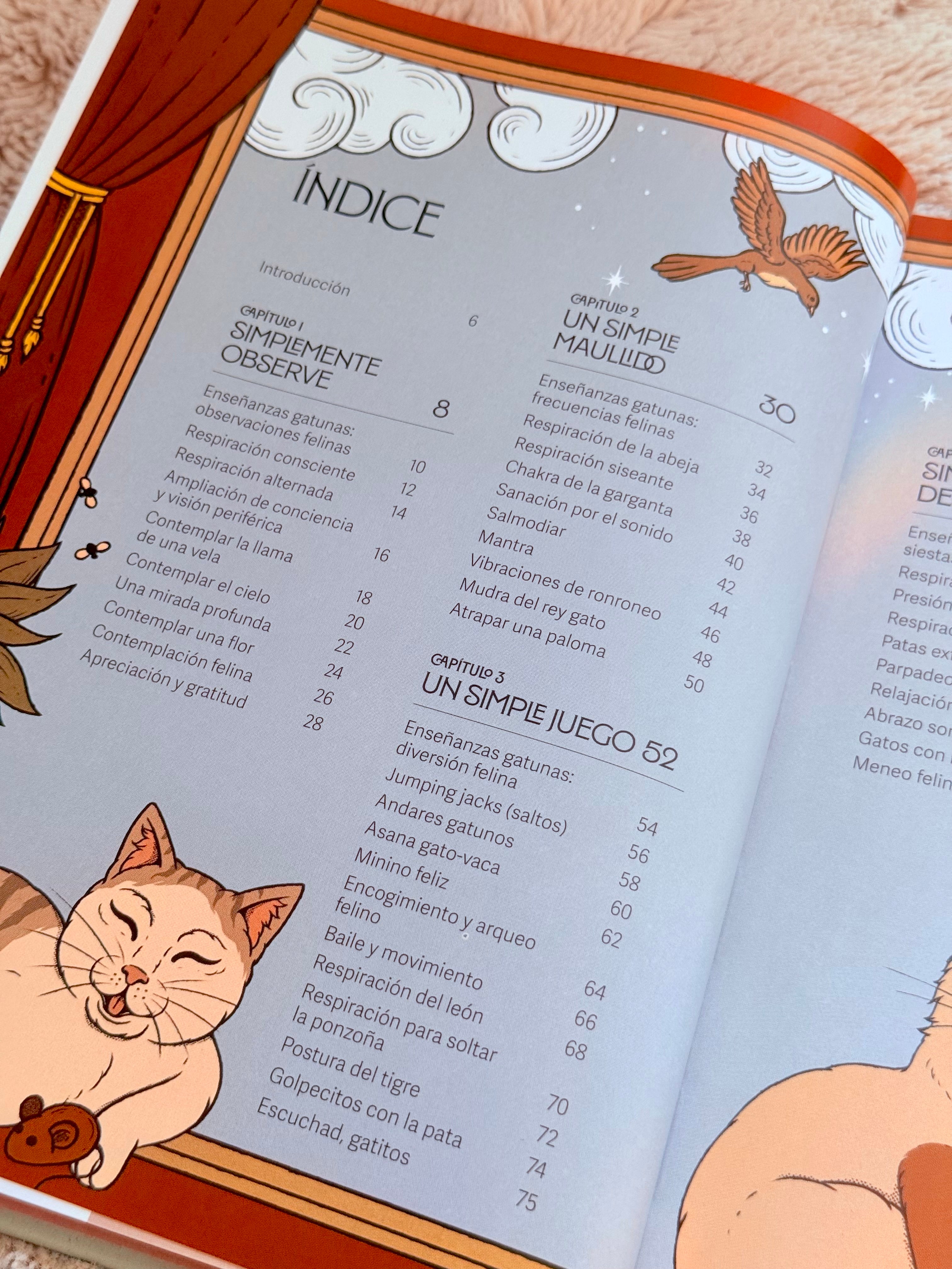 Gatos y Meditación | Guía de Ejercicios inspirados en los Felinos