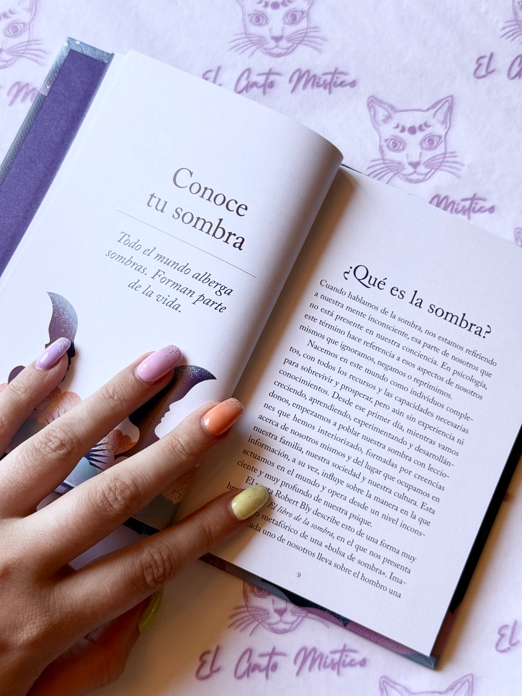 El pequeño libro del Trabajo de sombras