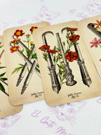 El Tarot de Anatomía y Botánica Antiguas | Baraja y Manual para el Lector Moderno