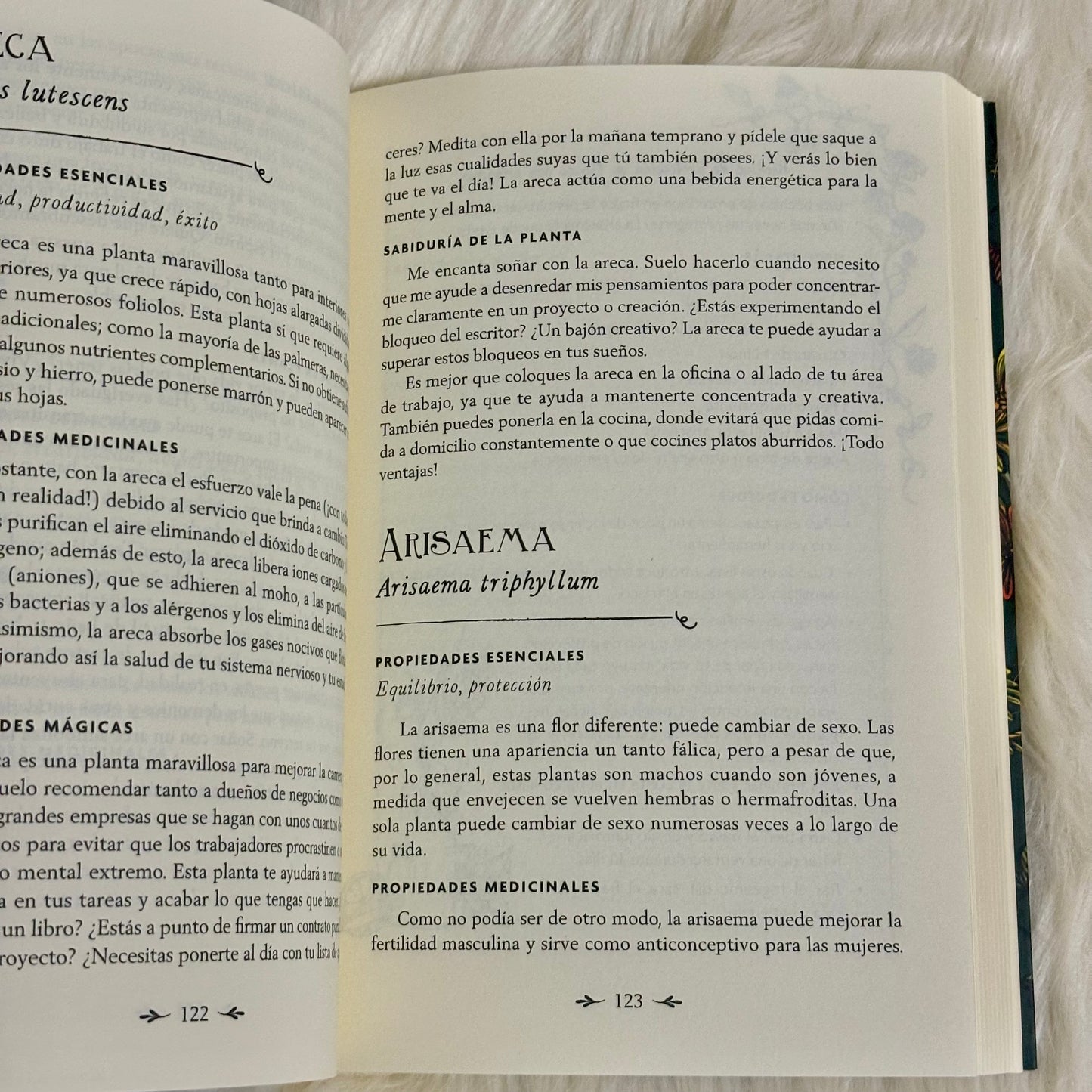 La Brujería de las Plantas: Descubre la Sabiduría, la Magia y el Lenguaje Sagrado de 200 Plantas