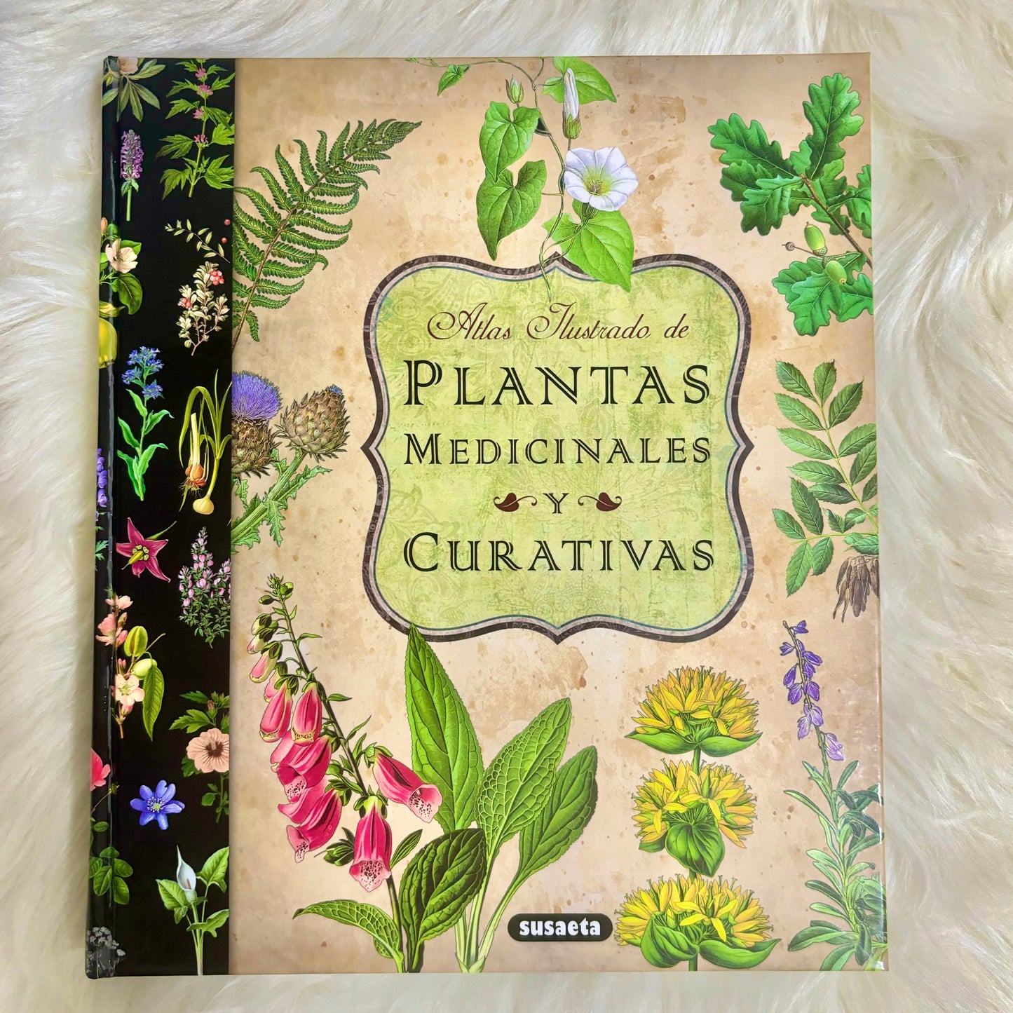 Plantas medicinales y curativas - Atlas ilustrado