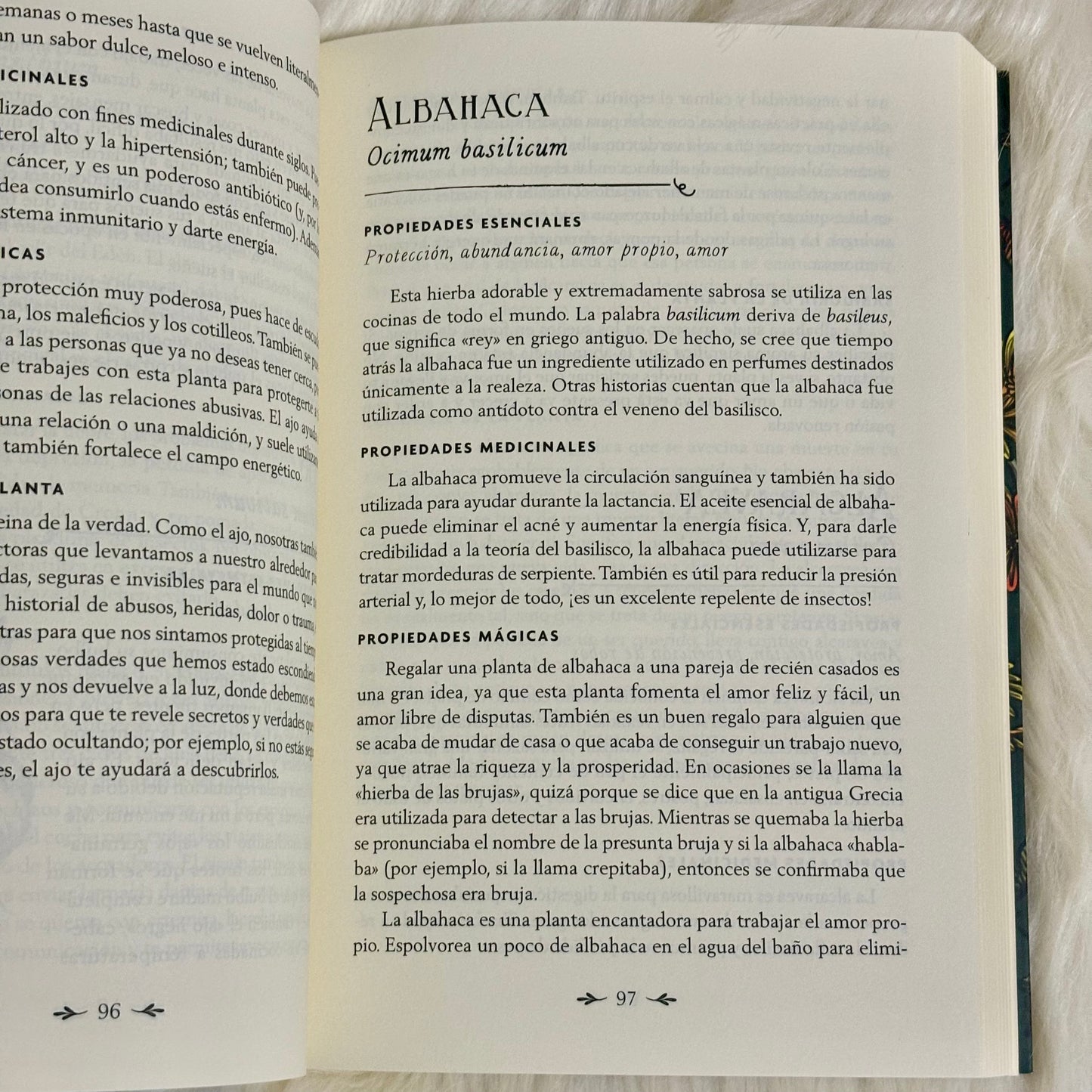 La Brujería de las Plantas: Descubre la Sabiduría, la Magia y el Lenguaje Sagrado de 200 Plantas