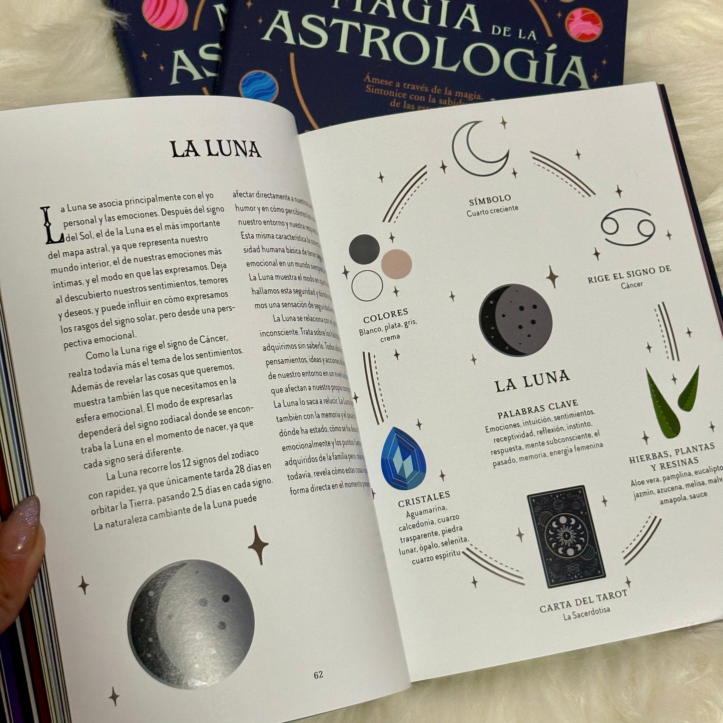 Magia de la Astrología Guía de la Bruja del Bosque