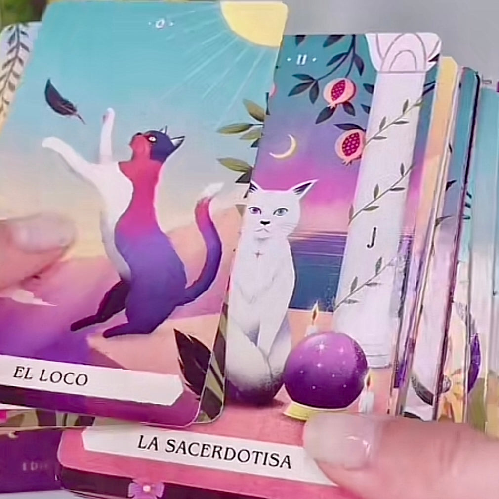 Tarot Gatos Mágicos- Cartas y guía