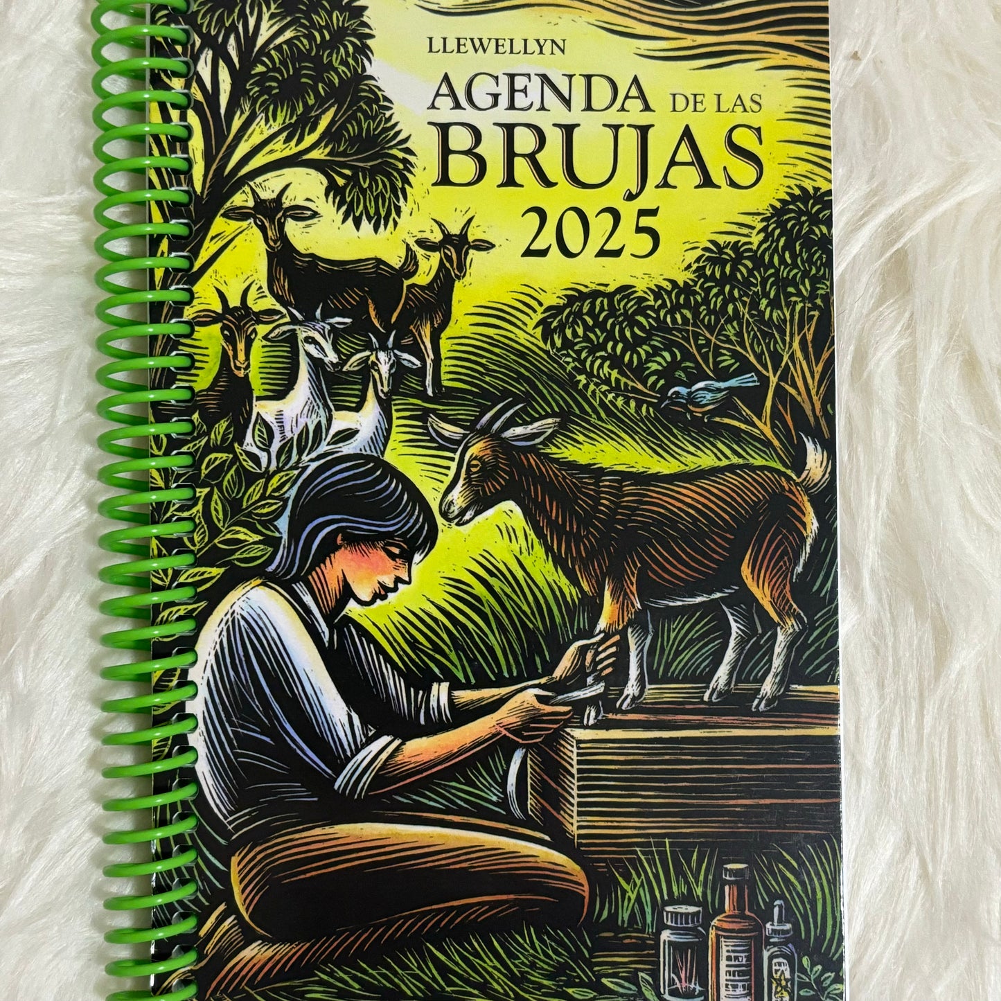 Agenda de las brujas 2025