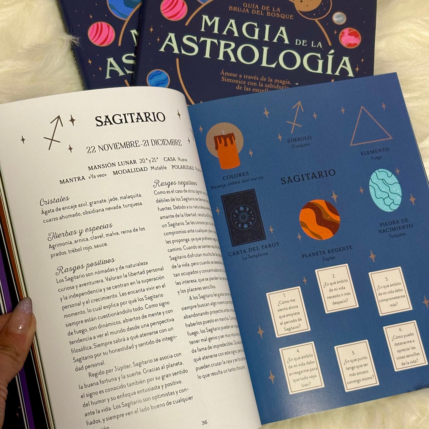 Magia de la Astrología Guía de la Bruja del Bosque