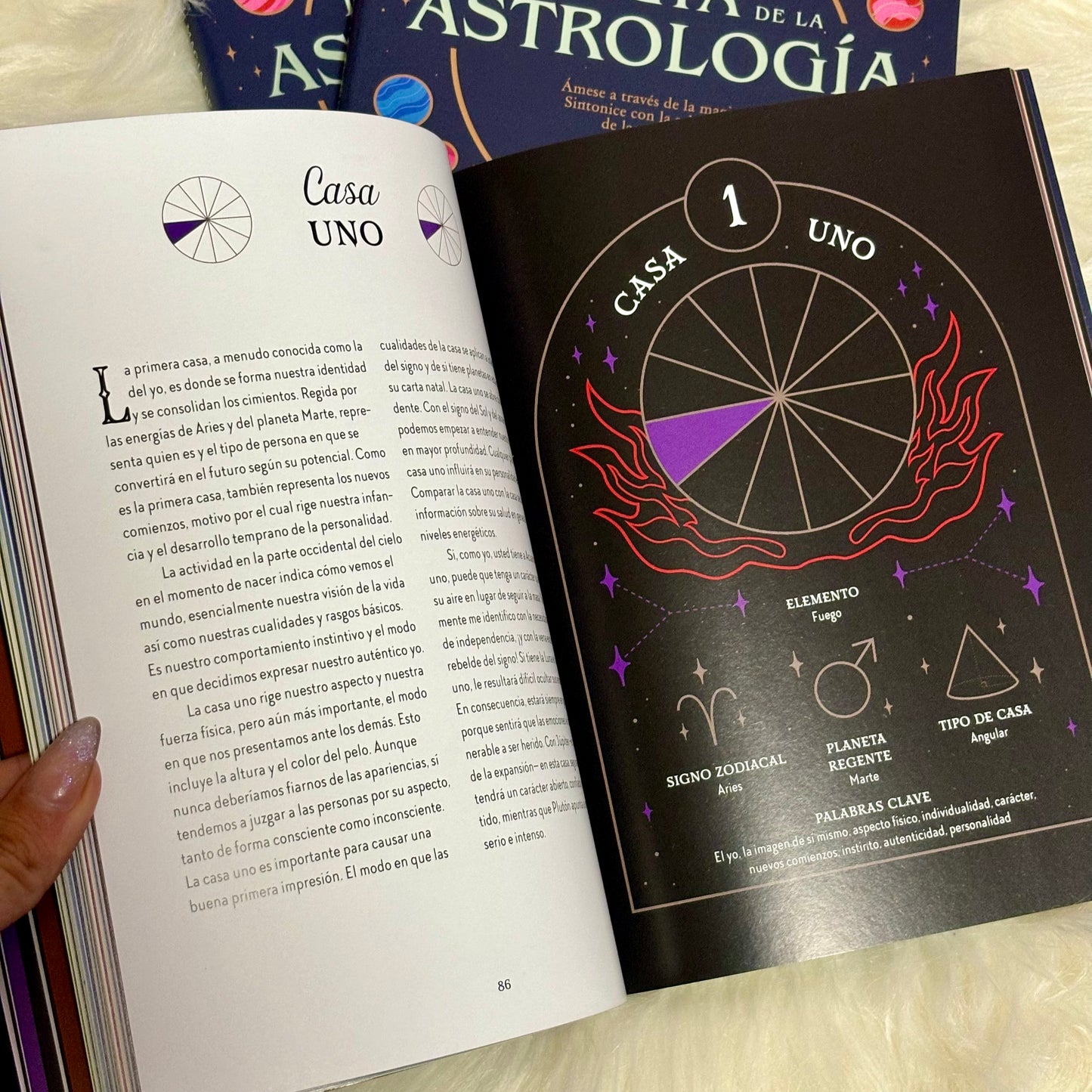 Magia de la Astrología Guía de la Bruja del Bosque